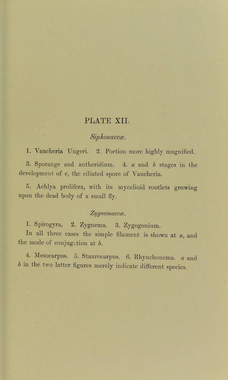 SipJionacecB. 1. Vauclieria Ungeri. 2. Portion more highly magnified. 3. Sporange and antheridium. 4. a and b stages in the development of c, the ciliated spore of Vaucheria. 5. Achlya prolifera, with its mycelioid rootlets growing upon the dead body of a small fly. Zygnemacece. 1. Spirogyra. 2. Zygnema. 3. Zygogonium. In all three cases the simple filament is shown at a, and the mode of conjugation at b. 4. Mesocarpus. 5. Staurocarpus. 6. Rhynchonema. a and b in the two latter figures merely indicate different species.