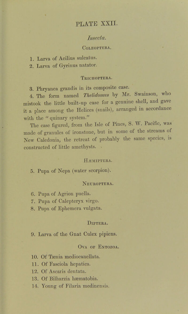 Inseda. COLEOPTERA. 1. Larva of Acilius sulcatus. 3. Larva of Gyriims natator. Trichoptera. 3. Phryanea grandis in its composite case. 4. The form named Thelidomus by Mr. Swainson, who mistook the little built-up case for a genuine shell, and gave it a place among the Helices (snails), arranged in accordance with the  quinary system.'- The case figured, from the Isle of Pines, S. W. Pacific, was made of granules of ironstone, but in some of the streams of New Caledonia, the retreat of probably the same species, is constructed of little amethysts. HiEMIPTERA. 5. Pupa of Nepa (water scorpion). Neuroptera. 6. Pupa of Agrion puella. 7. Pupa of Calepteryx virgo. 8. Pupa of Ephemera vulgata. DiPTERA. 9. Larva of the Gnat Culex pipiens. Ova of Entozoa. 10. Of Taenia mediocanellata. 11. Of Fasciola hepatica. 13. Of Ascaris dentata. 13. Of Bilharzia hsematobia. 14. Young of Filaria medinensis.