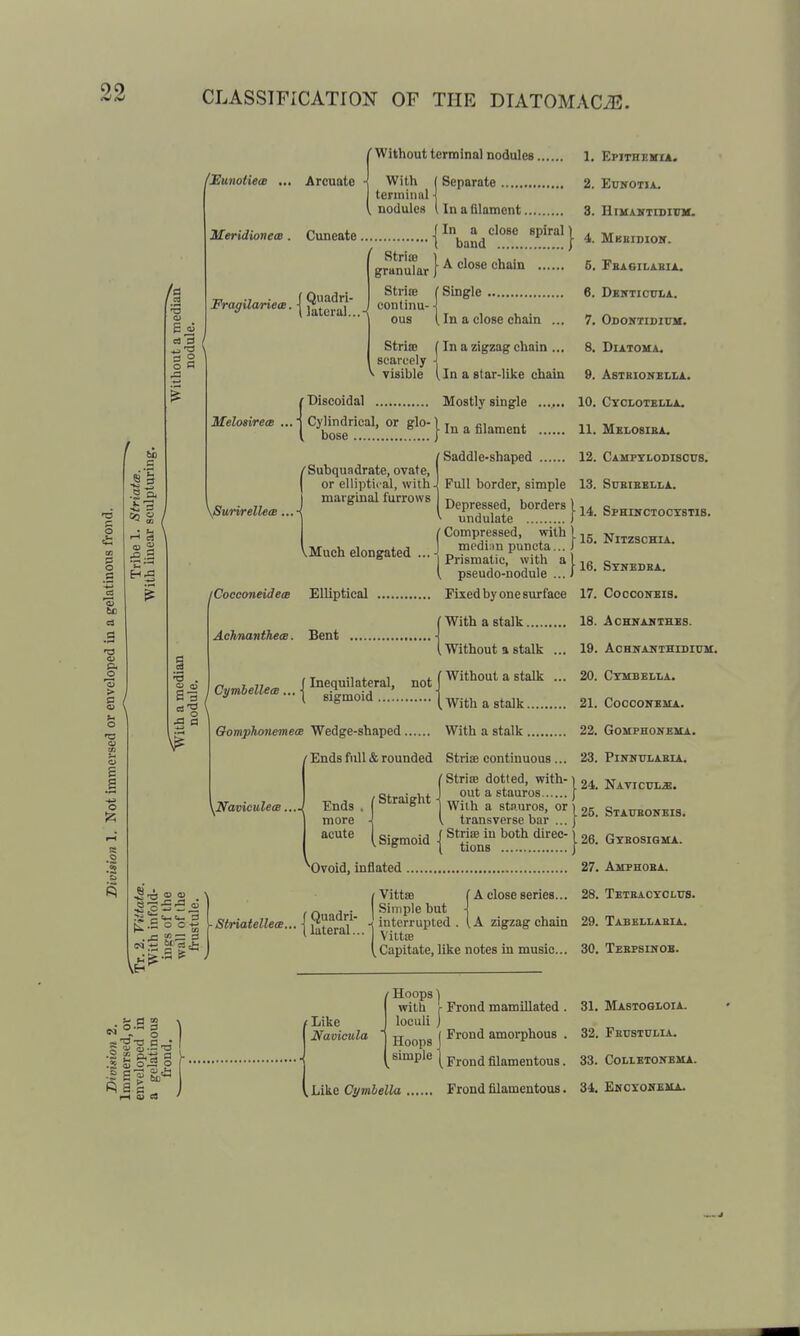 CLASSIFICATION OF THE DIATOMACyTi!. (Without terminal nodules 1. With (Separate 2. teriniiml i nodules I In a filament 8. MeridionecB. Cuneate {^band ^ Strias ) granular I 5- o .9 P. c -i: 3 =5 Si R OS'S o 1=1 f Ouadri- ^'^'''^ literal...-; ^^^i- Meloairece XSurirellece. iCocconeidem Elliptical Achnanthea. Bent . U to S-5 Single 6. In a close chain ... 7. In a zigzag chain ... 8. In a star-like chain 9. Biscoidal Mostly single ...... 10. ^Cse?.'i!'..^^:ll^'»fil^'ent 11. Saddle-shaped 12. Full border, simple 13. Depressed, borders ) , / undulate P*' / Compressed, with 1 Uuch elongated •.• p-:^i:i.Prtlf a [ pseudo-nodule ... J Fixed by one surface 17. With a stalk 18. Without a stalk ... 19. Without a stalk ... 20. With a stalk 21. StrisD scarcely ^ visible /Subquadrate, ovate, or elliptical, with- marginal furrows Qomphonemem Wedge-shaped With a stalk 22. Ends full & rounded Strise continuous ... 23. ^Naviculece. ^ t^- 3 11Stri^B dotted, with- ] 24 out a stauros f Wilh a stauros, or ) ,5 transverse bar ... [ ' Sigmoid I ^t^i^jji j 26, ^Ovoid, inflated 27 t VittiB . „ , . Simple but \-SlriatenecB...\^^^^^' i interrupted 'i A close series... 28, A zigzag chain 29, Viitte Capitate, like notes in music... 30, Epithebha. EuKOTIi.. HlUAHTIDIUM. Mbbidiok. fba6ii.a.bh,. DBlTTICntA. Odontidium. DiATOMJu Aetbionelu. CyCLOTBLLA. Melosiba. Camptlodiscus. SUEIBBIiLA. SpEDfCTOCTSTlS. NiTZSCHIA. Stnedba. cocconeis. Acevabtb.es. ACHNANTHrDinil. CTMBELIiA. COCCOITEMA. GOMPHONEMA. PlNHTOABlA. Naviculs. STATTBOlfBIB. Gtbosigma. Ampeoba. Teteacycltts. Tabbllabia. Tebpsinob. . 5; o s \ .5 g o f • sllf Hoops) with r Frond mamillated . 31. Mastogloia. tLike J loculi ) 1 Navicula 1 jjoops J ^^ amorphous . 32. Fbt;stui.ia. simple I pj.pjjJ gjjjjjigjj^gyg 33 CoLiEioNBMA. ^h¥i.Q Cymhella Frond filamentous. 34. Emcxohema.