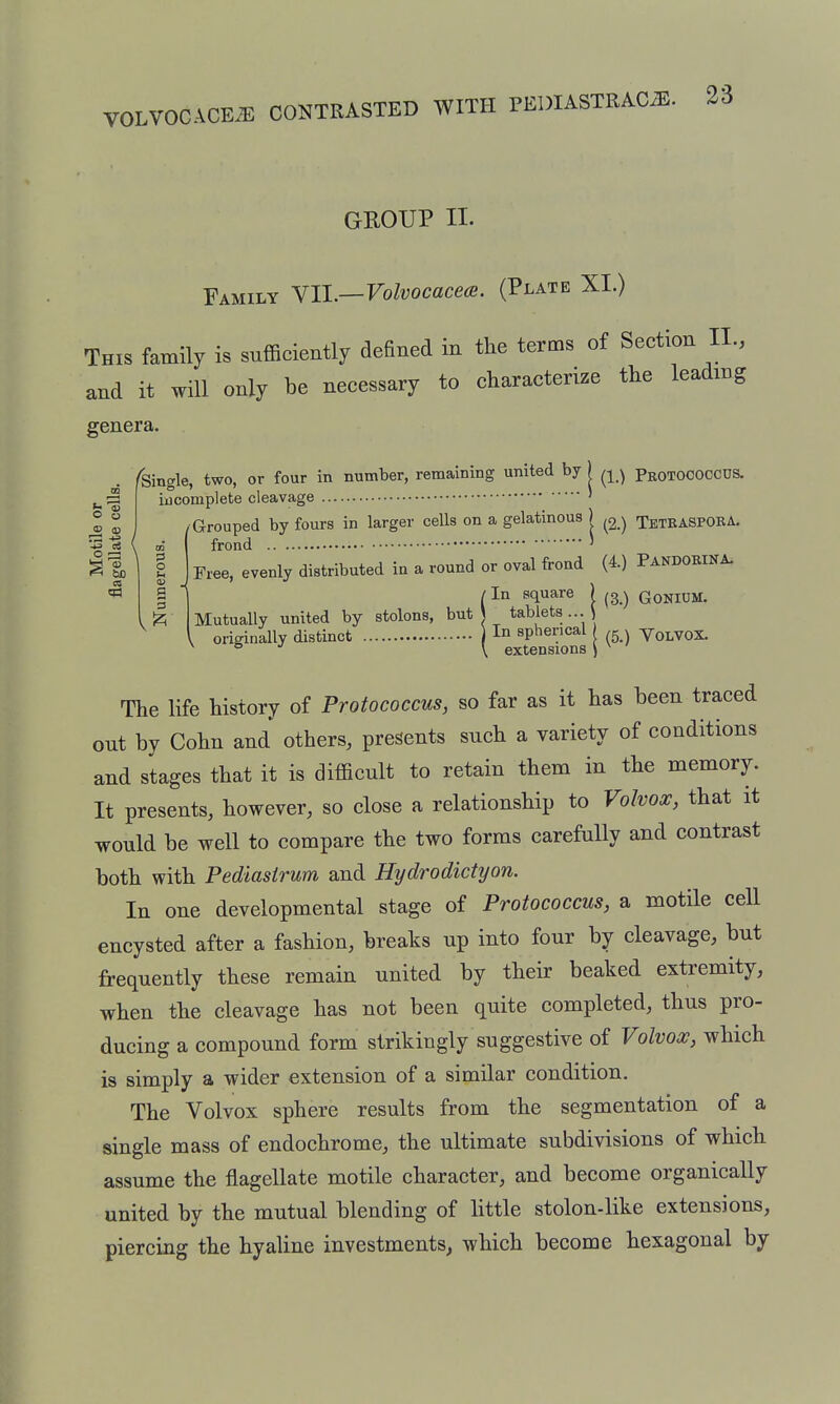 VOLVOCACE.E CONTRASTED WITH PEDIASTRAC.E. CD o o ID 0) ci O Z2 <^ bD a 3 o g 3 ■{ GROUP II. Family VII.—FoZvocace«. (Plate XI.) This family is sufficiently defined in the terms of Section IL, and it will only be necessary to characterize the leading genera. ^Single, two, or four in number, remaining united by j ^■^ ■^ Protoooccus. iucomplete cleavage ' /Grouped by fours in larger cells on a gelatinous | ^g.) Tbtbaspoka. frond ' Free, evenly distributed in a round or oval frond (4.) Pandoeina. / In square ) ) QonidM. Mutually united by stolons, but) tablets...^ , originally distinct I spherical ^ VOLVOX. ^ ^ •' \ extensions ) ^ The life history of Protococcus, so far as it has been traced out by Cohn and others, presents such a variety of conditions and stages that it is difficult to retain them in the memory. It presents, however, so close a relationship to Volvox, that it would be well to compare the two forms carefully and contrast both with Pediasirum and Hydrodictyon. In one developmental stage of Protococcus, a motile cell encysted after a fashion, breaks up into four by cleavage, but frequently these remain united by their beaked extremity, when the cleavage has not been quite completed, thus pro- ducing a compound form strikingly suggestive of Volvox, which is simply a wider extension of a similar condition. The Volvox sphere results from the segmentation of a single mass of endochrome, the ultimate subdivisions of which assume the flagellate motile character, and become organically united by the mutual blending of httle stolon-like extensions, piercing the hyaline investments, which become hexagonal by