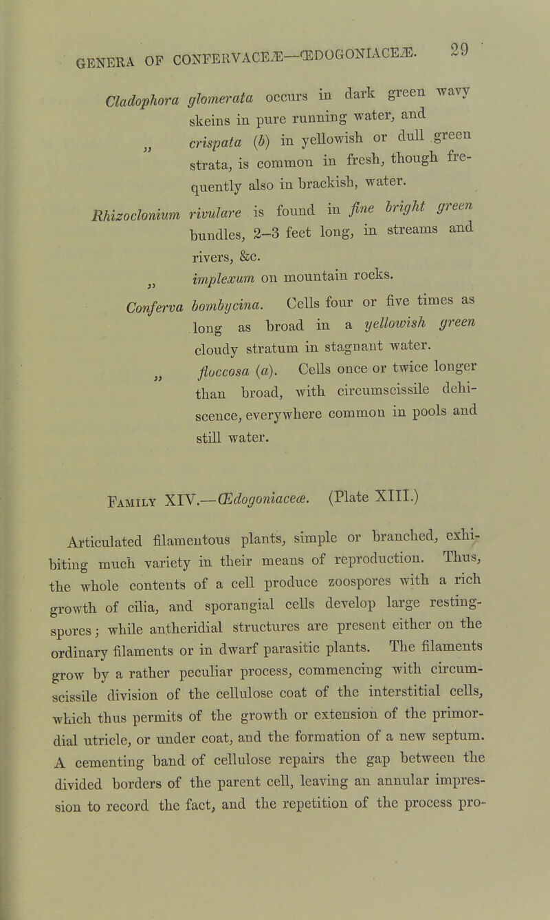 Cladophora gJomerata occurs in dark green wavy skeins in pure running water, and crispata {h) in yellowish or dull green strata, is common in fresh, though fre- quently also in brackish, water. RMzodordum rivulare is found in fine bright green bundles, 2-3 feet long, in streams and rivers, Sec. implewum on mountain rocks. Conferva bombijcina. Cells four or five times as long as broad in a yellowish green cloudy stratum in stagnant water. fluccosa [a). Cells once or twice longer than broad, with circumscissile dehi- scence, everywhere common in pools and still water. Family XlV.—(Edogoniacece. (Plate XIII.) Articulated filamentous plants, simple or branched, exhi- biting much variety in their means of reproduction. Thus, the whole contents of a cell produce zoospores with a rich growth of cilia, and sporangial cells develop large resting- spores; while antheridial structures are present either on the ordinary filaments or in dwarf parasitic plants. The filaments grow by a rather peculiar process, commencing with circum- scissile division of the cellulose coat of the interstitial cells, which thus permits of the growth or extension of the primor- dial utricle, or under coat, and the formation of a new septum. A cementing band of cellulose repairs the gap between the divided borders of the parent cell, leaving an annular impres- sion to record the fact, and the repetition of the process pro-