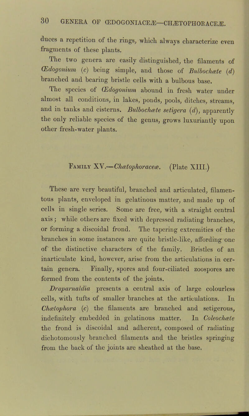 80 GENERA or CEDOGONIACEiE—CHiETOPIIOEACE^. duces a repetition of the rings, wliicli always characterize even fragments of these plants. The two genera are easily distinguished, the filaments of (Edogonium (c) being simple, and those of Bulbochcete (d) branched and bearing bristle cells with a bulbous base. The species of (Edogonium abound in fresh water under almost all conditions, in lakes, ponds, pools, ditches, streams, and in tanks and cisterns. Bulbochcete setigera {d), apparently the only reliable species of the genus, grows luxuriantly upon other fresh-water plants. Family .—ChcBtophoracecB. (Plate XIII.) These are very beautiful, branched and articulated, filamen- tous plants, enveloped in gelatinous matter, and made up of cells in single series. Some are free, with a straight central axis; while others are fixed with depressed radiating branches, or forming a discoidal frond. The tapering extremities of the branches in some instances are quite bristle-like, afi'ording one of the distinctive characters of the family. Bristles of an inarticulate kind, however, arise from the articulations in cer- tain genera. Finally, spores and four-ciliated zoospores are formed from the contents of the joints. Draparnaldia presents a central axis of large colourless cells, with tufts of smaller branches at the articulations. In Chaiophora (c) the filaments are branched and setigerous, indefinitely embedded in gelatinous matter. In Coleochcete the frond is discoidal and adherent, composed of radiating dichotomously branched filaments and the bristles springing from the back of the joints are sheathed at the base.