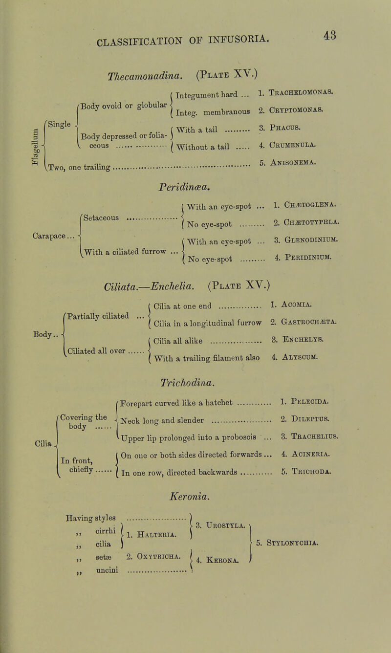 a ho /Single . ^Two, one trailing Thecamonadina. (Plate XV.) f Integument hard ... 1- TraohelOMONAS. Body ovoid or globular J ^^^^^ „,en.branous 2. Ceyptomonas. , ^ ,. ( With a tail 3. Phacus. Body depressed or tona- ) ( Without a tail 4. Crumenula. 5. Anisonema. \. ceous 'Setaceous Carapace... - With a ciliated furrow Peridin(Ba, ( With an eye-spot ... 1. CniETOGLENA. ( No eye-spot 2. Ch^tottphla. ( With an eye-spot ... 3. Glenodinium. ( No eye-spot 4. Pbridinium. Ciliata. 'Partially ciliated Body.. Ciliated all over Cilia -Enchelia. (Plate XV.) ( Cilia at one end 1- ACOMIA. ( Cilia in a longitudinal fuiTOW 2. Gastroch^eta. ( Cilia all alike 3. Enchelts. ( With a trailing filament also 4. Altsoum. Trichodina. 1Forepart curved like a hatchet 1. Pelecida. Neck long and slender 2. Dileptos. Upper lip prolonged into a proboscis 3. Trachelids. ^ „ . (On one or both sides directed forwards ... 4 Aoineria. In front, 1 ^^'^^^1 ( In one row, directed backwards 5. Trichoda. Keronia. > 3. Urosttla. Having styles „ cirrhi \ J halteria. cilia \ setae 2. Oxytricha. 9> uncmi 4. Kerona. 5. Stylontohia.