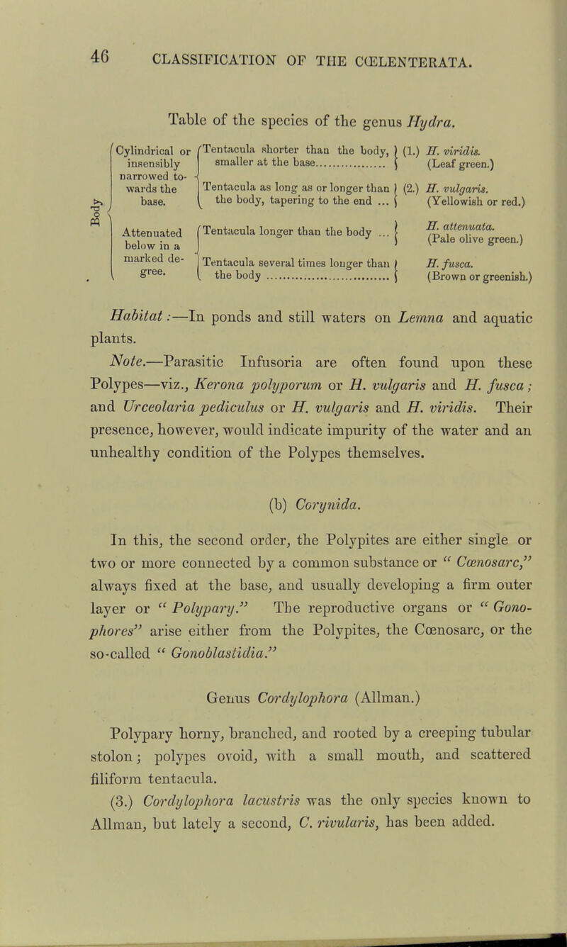 Table of the species of the genus Hydra. Cylindrical or insensibly narrowed to- - wai'ds the base. Tentacula sliorter than the body, ) (1.) H. viridis. smaller at the base (Leaf green.) Tentacula as long as or longer than ) (2.) E. vulgaris. the body, tapering to the end ... | (Yellowish or red.) Attenuated below in a marked de- gree. Tentacula longer than the body ... Tentacula several times longer than the body ff. attenuata. (Pale olive green.) H. fusca. (Brown or greenish.) Habitat:—In ponds and still waters on Lemna and aquatic plants. Note.—Parasitic Infusoria are often found upon these Polypes—viz., Kerona poJyporum or H. vulgaris and H. fusca; and Urceolaria pediculus or H. vulgaris and H. viridis. Their presence, however, would indicate impurity of the water and an unhealthy condition of the Polypes themselves. (b) Coi'ynida. In this, the second order, the Polypites are either single or two or more connected by a common substance or  Coenosarc, always fixed at the base, and usually developing a firm outer layer or  Polypary. The reproductive organs or  Gono- phores arise either from the Polypites, the Coenosarc, or the so-called  Gonoblastidia. Genus Cordylophora (AUman.) Polypary horny, branched, and rooted by a creeping tubular stolon; polypes ovoid, with a small mouth, and scattered filiform tentacula. (3.) Cordylophora lacustris was the only species known to AUraan, but lately a second, C. rivularis, has been added.