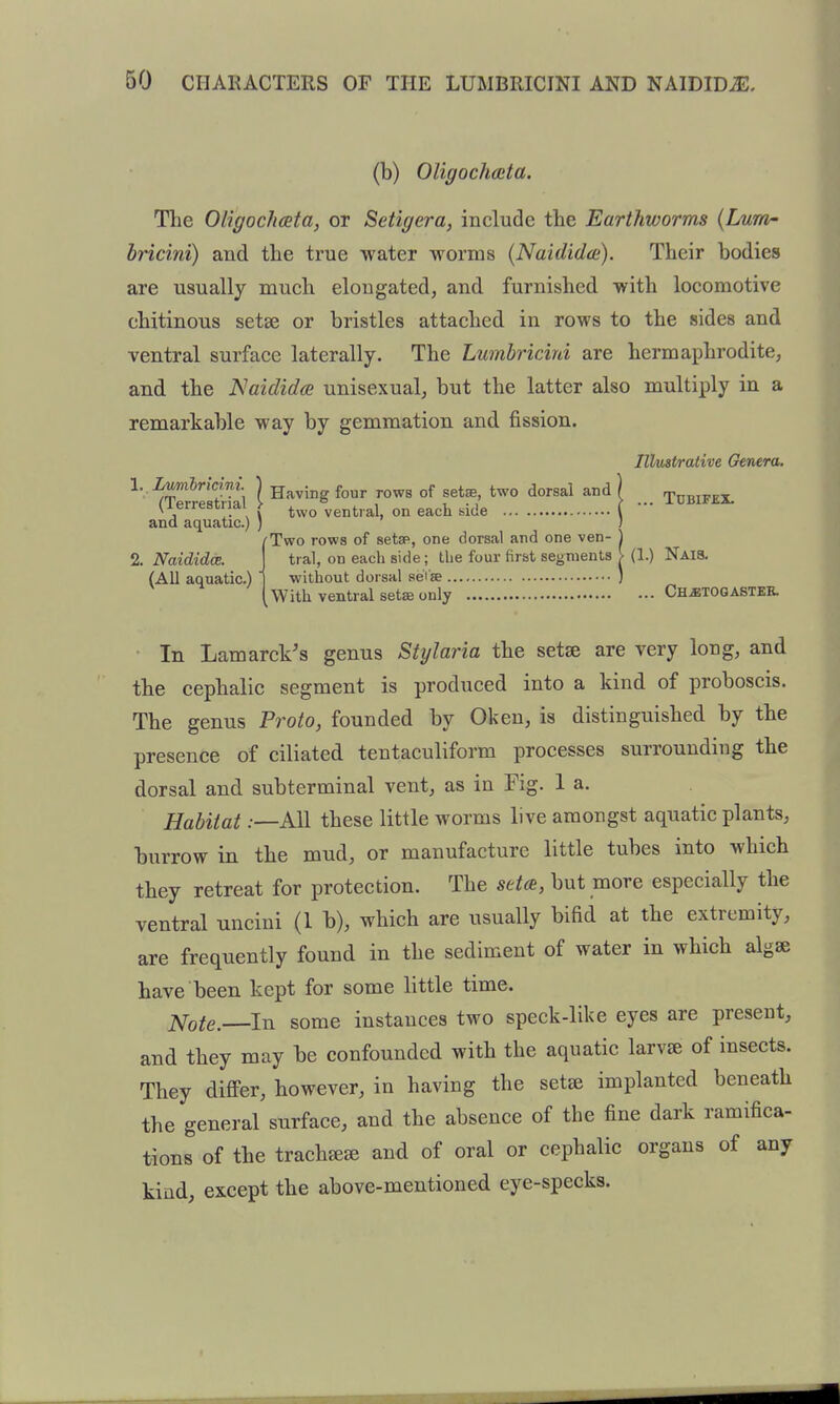 (b) OHgochccta. The Oligochceta, or Setigera, include the Earthworms (Lum- bricini) and the true water worms (Naididce). Their bodies are usually much elongated, and furnished with locomotive chitinous setse or bristles attached in rows to the sides and ventral surface laterally. The Lumbricini are hermaphrodite, and the Naidida unisexual, but the latter also multiply in a remarkable way by gemmation and fission. Illmtrative Genera. ^' SeS I Having four rows of sete two dorsal and) _ ^^^^^^^ (lerrestnai > ^^^^ ventral, on each side ( and aquatic.) ) J (Two rows of setsp, one dorsal and one ven- ) tral, on each side; the four first segments > (1.) Nais. without dorsal sei'se ) With ventral setffi only Ch.etogastee. In Lamarck's genus Stylaria the setse are very long, and the cephalic segment is produced into a kind of proboscis. The genus Proto, founded by Oken, is distinguished by the presence of ciliated tentaculiform processes surrounding the dorsal and subterminal vent, as in Fig. 1 a. Habitat .—All these little worms live amongst aquatic plants, burrow in the mud, or manufacture little tubes into which they retreat for protection. The seta, but more especially the ventral uncini (1 b), which are usually bifid at the extremity, are frequently found in the sediment of water in which algae have been kept for some little time. Note. In some instances two speck-like eyes are present, and they may be confounded with the aquatic larvffi of insects. They differ, however, in having the seta implanted beneath the general surface, and the absence of the fine dark ramifica- tions of the trachffiffi and of oral or cephalic organs of any kind, except the above-mentioned eye-specks.