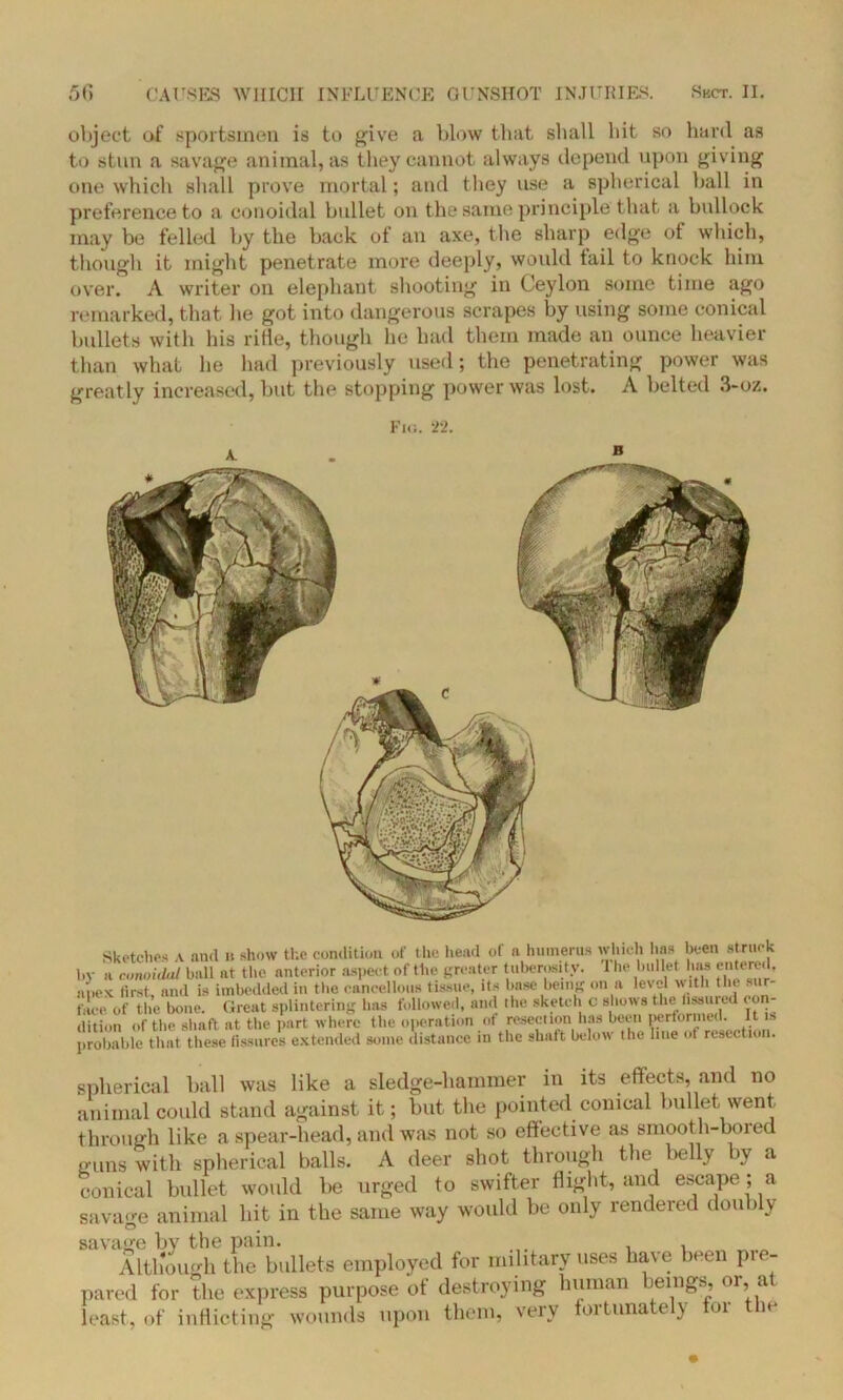 object of sportsmen is to give a blow that shall hit so hard as to stun a savage animal, as they cannot always depend upon giving one which shall prove mortal; and they use a spherical hall in preference to a conoidal bullet on the same principle that a bullock may be felled by the back of an axe, the sharp edge of which, though it might penetrate more deeply, would tail to knock him over. A writer on elephant shooting in Ceylon some time ago remarked, that he got into dangerous scrapes by using some conical bullets with his rifle, though he had them made an ounce heavier than what he had previously used; the penetrating power was great ly increased, but the stopping power was lost. A belted 3-oz. Fiir. -2-2. Sketches A and it show the condition of t he head of a humerus which has been struck by a conoidal ball at the anterior aspect of the greater tuberosity. 1 lie bullet has entered, ftpex first, and is imbedded in the cancellous tissue, its base being on a level with the sur- t-[ee of the bone. Great splintering lias followed, and the sketch c shows the fissured co ilition of the shaft at the part where the operation ot resection has been performed. It is probable that these fissures extended some distance in the shaft below the line of resection. spherical ball was like a sledge-hammer in its effects, and no animal could stand against it; but the pointed conical bullet went, through like a spear-head, and was not so effective as smooth-bored guns with spherical balls. A deer shot through the belly by a conical bullet would be urged to swifter flight, and escape ; a savage animal bit in the same way would be only rendered doubly savage by the pain. . Although the bullets employed for md.taryuses have been p.e- pared for the express purpose of destroying human beings, ot, at least., of inflicting wounds upon them, very fortunately for the