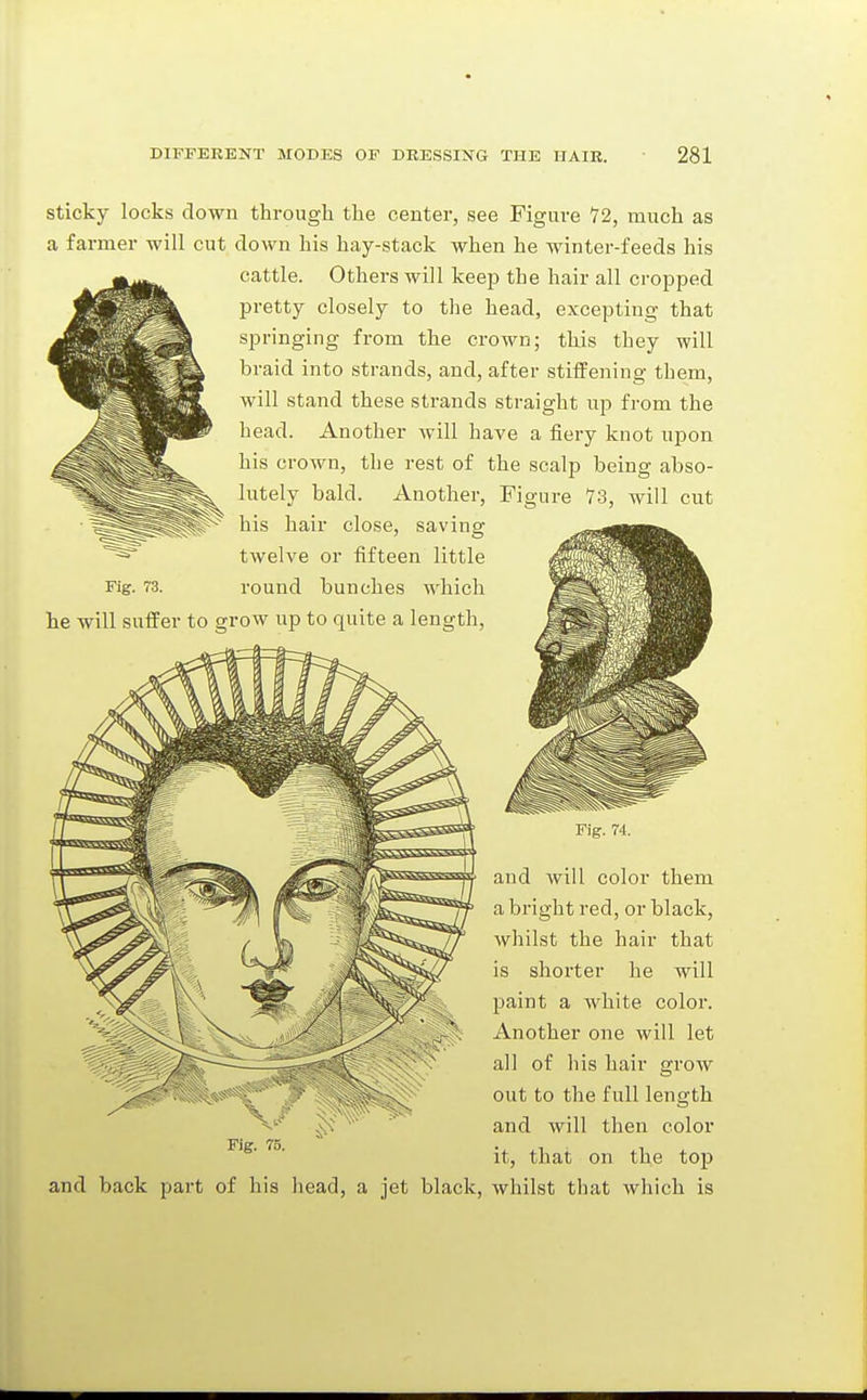 Sticky locks down through the center, see Figure 72, much as a farmer will cut clown his hay-stack when he winter-feeds his cattle. Others will keep the hair all cropped pretty closely to the head, excepting that springing from the crown; this they will braid into strands, and, after stiffening them, will stand these strands straight up from the head. Another will have a fiery knot upon his crown, the rest of the scalp being abso- Fig. 73. lutely bald. Another, his hair close, saving twelve or fifteen little round bunches which Figure 73, will cut he will suffer to grow up to quite a length, and will color them a bright red, or black, whilst the hair that is shorter he will paint a white color. Another one will let all of his hair grow out to the full length and will then color it, that on the top and back part of his head, a jet black, whilst that which is