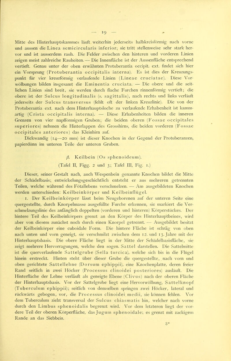 Mitte des Hinterhauptskammes läuft weiterhin jederseits halbkreisförmig nach vorne und aussen die Linea semicircularis inferior; sie tritt stellenweise sehr stark her- vor und ist ausserdem rauh. Die Felder zwischen den hinteren und vorderen Linien zeigen meist zahlreiche Rauheiten. — Die Innenfläche ist der Aussenfläche entsprechend vertieft. Genau unter der oben erwähnten Protuberantia occipit. ext. findet sich hier ein Vorsprung (Protuberantia occipitalis interna). Es ist dies der Kreuzungs- punkt für vier kreuzförmig verlaufende Linien (Lineae cruciatae). Diese Vor- wölbungen bilden insgesamt die Eminentia cruciata. — Die obere und die seit- lichen Linien sind breit, sie werden durch flache Furchen rinnenförmig vertieft; die obere ist der Sulcus longitudinalis (s. sagittalis), nach rechts und links verläuft jederseits der Sulcus transversus (fehlt oft der linken Kreuzlinie). Die von der Protuberantia ext. nach dem Hinterhauptsloche zu verlaufende Erhabenheit ist kamm- artig (Crista occipitalis interna). — Diese Erhabenheiten bilden die inneren Grenzen von vier napfförmigen Gruben; die beiden oberen (Fossae occipitales superiores) nehmen die Hinterlappen des Grosshiras, die beiden vorderen (Fossae occipitales anteriores) das Kleinhirn auf. Dickwandig (14—20 mm) ist dieser Knochen in der Gegend der Protuberanzen, papierdünn im unteren Teile der unteren Gruben. ß. Keilbein (Os sphenoideum). (Tafel II, Figg. 2 und 3; Tafel III, Fig. i.) Dieser, seiner Gestalt nach, auch Wespenbein genannte Knochen bildet die Mitte der Schädelbasis; entwickelungsgeschichtlich entsteht er aus mehreren getrennten Teilen, welche während des Fötallebens verschmelzen. — Am ausgebildeten Knochen werden unterschieden: Keilbeinkörper und Keilbeinflügel. I. Der Keilbeinkörper lässt beim Neugeborenen auf der unteren Seite eine quergestellte, durch Knorpelmasse ausgefüllte Furche erkennen, sie markiert die Ver- schmelzungslinie des anfänglich doppelten (vorderen und hinteren) Körperstückes. Der hintere Teil des Keilbeinkörpers grenzt an den Körper des Hinterhauptbeines, wird aber von diesem zunächst noch durch einen Knorpel getrennt. — Ausgebildet besitzt der Keilbeinkörper eine cuboidale Form. Die hintere Fläche ist schräg von oben nach unten und vorn geneigt, sie verschmilzt zwischen dem 12. und 13. Jahre mit der Hinterhauptsbasis. Die obere Fläche liegt in der Mitte der Schädelbasisfläche, sie zeigt mehrere Hervorragungen, welche den sogen. Sattel darstellen. Die Sattelmitte ist die querverlaufende Sattelgrube (Sella turcica), welche sich bis in die Flügel hinein erstreckt. Hinten steht über dieser Grube die quergestellte, nach vorn und oben gerichtete Sattellehne (Dorsum ephippii), eine Knochenplatte, deren freier Rand seitlich in zwei Höcker (Processus clinoidei posteriores) ausläuft. Die Hinterfläche der Lehne verläuft als geneigte Ebene (Clivus) nach der oberen Fläche der Hinterhauptsbasis. Vor der Sattelgrube liegt eine Hervorwölbung, Sattel knöpf (Tuberculum ephippii); seitlich von demselben springen zwei Höcker, lateral und rückwärts gebogen, vor, die Processus clinoidei medii, sie können fehlen. Vor dem Tuberculum zieht transversal der Sulcus chiasmatis hin, welcher nach vorne durch den Limbus sphenoidalis begrenzt wird. Vor dem letzteren liegt der vor- dere Teil der oberen Körperfläche, das Jugum sphenoidale; es grenzt mit zackigem Rande an das Siebbein. 3*