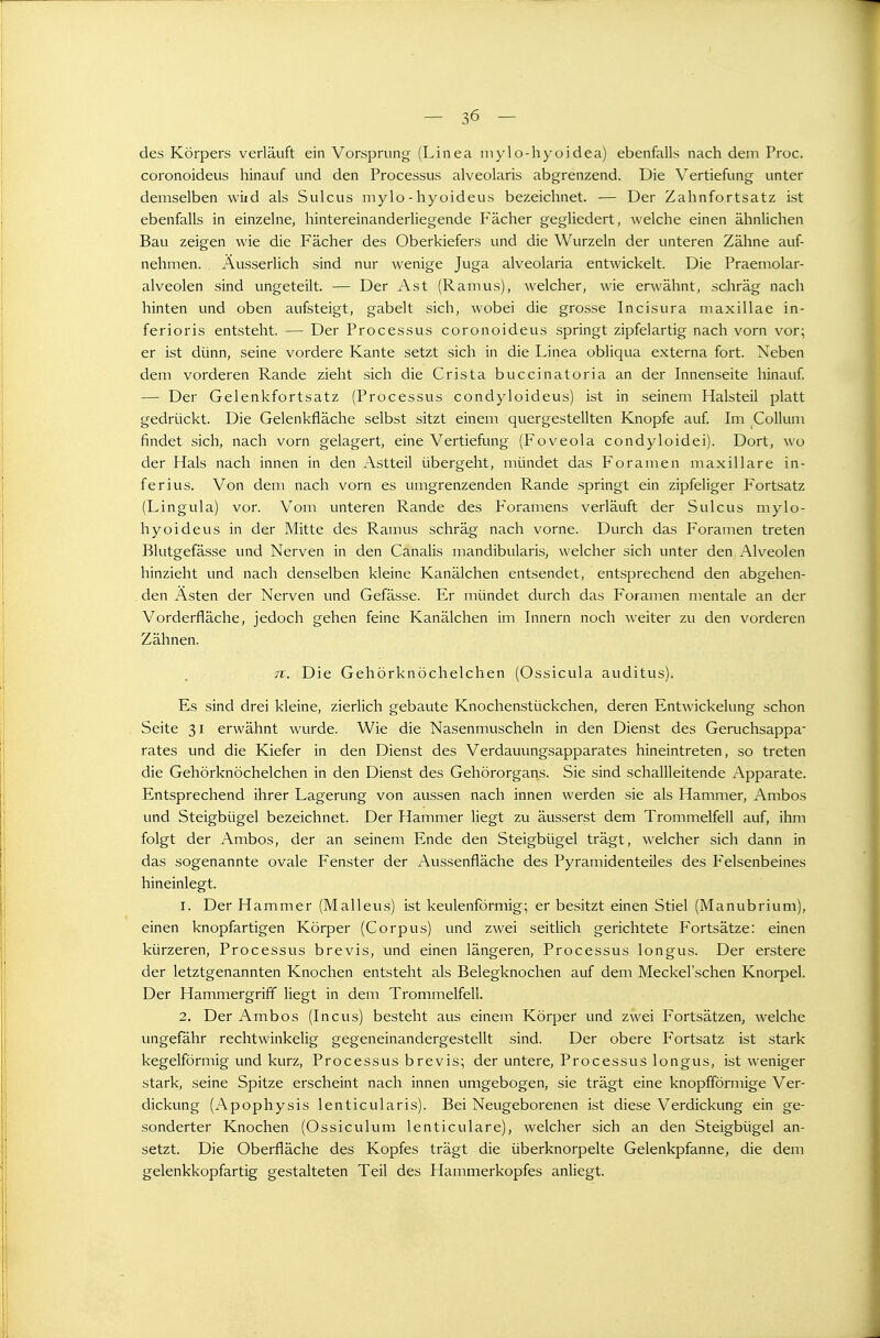 des Körpers verläuft ein Vorsprung (Linea niylo-hyoidea) ebenfalls nach dem Proc. coronoideus hinauf und den Processus alveolaris abgrenzend. Die Vertiefung unter demselben wiid als Sulcus mylo-hyoideus bezeichnet. — Der Zahnfortsatz ist ebenfalls in einzelne, hintereinanderliegende Fächer gegliedert, welche einen ähnlichen Bau zeigen wie die Fächer des Oberkiefers und die Wurzeln der unteren Zähne auf- nehmen. . ÄusserHch sind nur wenige Juga alveolaria entwickelt. Die Praemolar- alveolen sind ungeteilt. — Der Ast (Ramus), welcher, wie erwähnt, schräg nach hinten und oben aufsteigt, gabelt sich, wobei die grosse Incisura maxillae in- ferioris entsteht. — Der Processus coronoideus springt zipfelartig nach vorn vor; er ist dünn, seine vordere Kante setzt sich in die Linea obliqua externa fort. Neben dem vorderen Rande zieht sich die Crista buccinatoria an der Innenseite hinauf — Der Gelenkfortsatz (Processus condyloideus) ist in seinem Halsteil platt gedrückt. Die Gelenkfläche selbst sitzt einem quergestellten Knopfe auf Im Collum findet sich, nach vorn gelagert, eine Vertiefung (Foveola condyloidei). Dort, wo der Hals nach innen in den Astteil übergeht, mündet das Foramen maxillare in- ferius. Von dem nach vorn es umgrenzenden Rande springt ein zipfeliger Fortsatz (Lingula) vor. Vom unteren Rande des Foramens verläuft der Sulcus mylo- hyoideus in der Mitte des Ramus schräg nach vorne. Durch das Foramen treten Blutgefässe und Nerven in den Canalis mandibularis, welcher sich unter den Alveolen hinzieht und nach denselben kleine Kanälchen entsendet, entsprechend den abgehen- den Ästen der Nerven und Gefässe. Er mündet durch das Foramen mentale an der Vorderfläche, jedoch gehen feine Kanälchen im Innern noch weiter zu den vorderen Zähnen. 71. Die Gehörknöchelchen (Ossicula auditus). Es sind drei kleine, zierlich gebaute Knochenstückchen, deren Entwickelung schon Seite 31 erwähnt wurde. Wie die Nasenmuscheln in den Dienst des Geruchsappa^ rates und die Kiefer in den Dienst des Verdauungsapparates hineintreten, so treten die Gehörknöchelchen in den Dienst des Gehörorgans. Sie sind schallleitende Apparate. Entsprechend ihrer Lagerung von aussen nach innen werden sie als Hammer, Ambos und Steigbügel bezeichnet. Der Hammer liegt zu äusserst dem Trommelfell auf, ihm folgt der Ambos, der an seinem Ende den Steigbügel trägt, welcher sich dann in das sogenannte ovale Fenster der Aussenfläche des Pyramidenteiles des Felsenbeines hineinlegt. 1. Der Hammer (Malleus) ist keulenförmig; er besitzt einen Stiel (Manubrium), einen knopfartigen Körper (Corpus) und zwei seitlich gerichtete Fortsätze: einen kürzeren, Processus brevis, und einen längeren, Processus longus. Der erstere der letztgenannten Knochen entsteht als Belegknochen auf dem Meckel'schen Knorpel. Der Hammergriff liegt in dem Trommelfell. 2. Der Ambos (Incus) besteht aus einem Körper und zwei Fortsätzen, welche ungefähr rechtwinkelig gegeneinandergestellt sind. Der obere P'ortsatz ist stark kegelförmig und kurz, Processus brevis; der untere, Processus longus, ist weniger stark, seine Spitze erscheint nach innen umgebogen, sie trägt eine knopfförmige Ver- dickung (Apophysis lenticularis). Bei Neugeborenen ist diese Verdickung ein ge- sonderter Knochen (Ossiculum lenticulare), welcher sich an den Steigbügel an- setzt. Die Oberfläche des Kopfes trägt die überknorpelte Gelenkpfanne, die dem gelenkkopfartig gestalteten Teil des Hammerkopfes anliegt.
