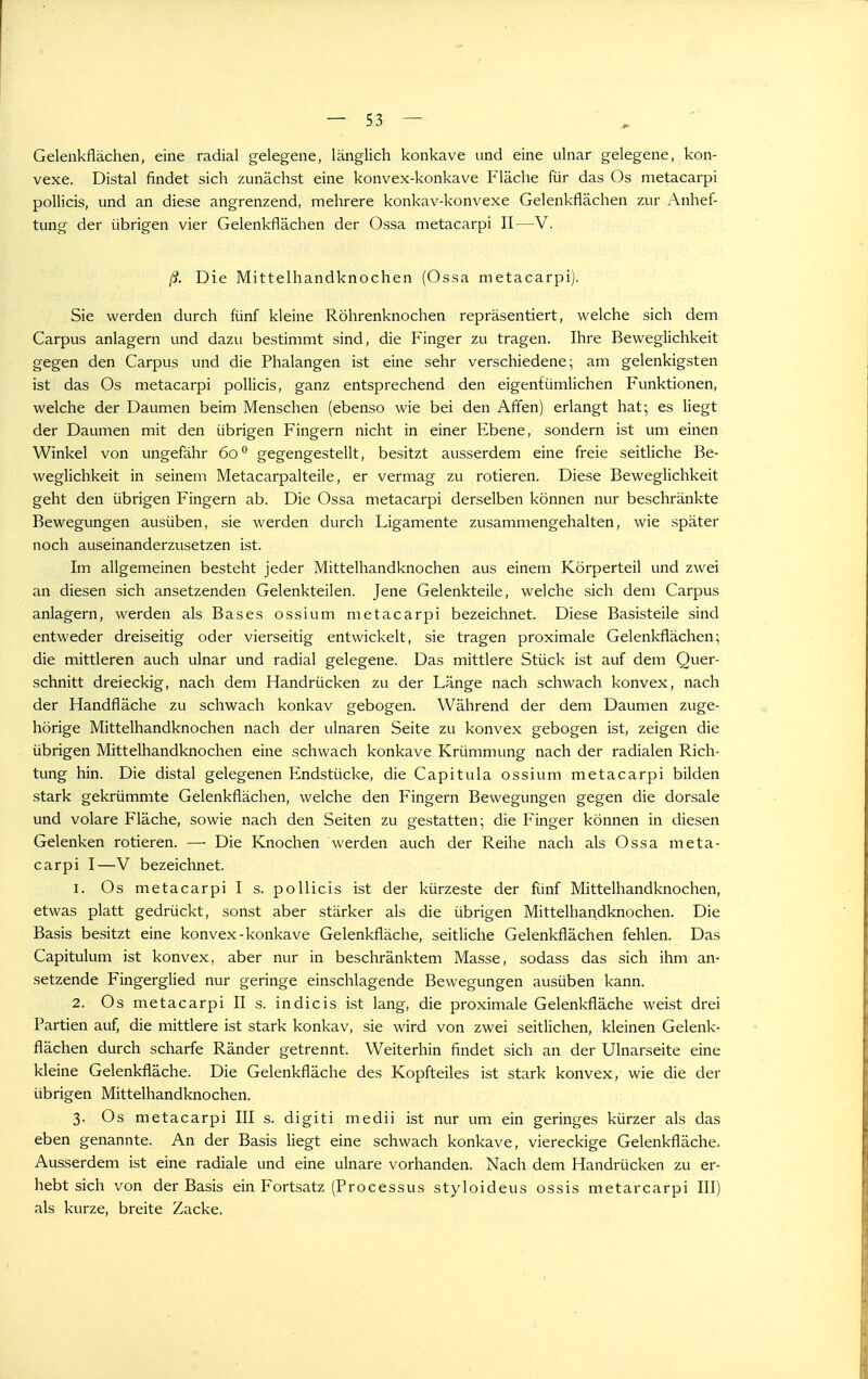 Gelenkflächen, eine radial gelegene, länglich konkave und eine ulnar gelegene, kon- vexe. Distal findet sich zunächst eine konvex-konkave Fläche für das Os metacarpi pollicis, und an diese angrenzend, mehrere konkav-konvexe Gelenkflächen zur Anhef- tung der übrigen vier Gelenkflächen der Ossa metacarpi II—V. ß. Die Mittelhandknochen (Ossa metacarpi). Sie werden durch fünf kleine Röhrenknochen repräsentiert, welche sich dem Carpus anlagern und dazu bestimmt sind, die Finger zu tragen. Ihre Beweglichkeit gegen den Carpus und die Phalangen ist eine sehr verschiedene; am gelenkigsten ist das Os metacarpi pollicis, ganz entsprechend den eigentümlichen Funktionen, welche der Daumen beim Menschen (ebenso wie bei den Afifen) erlangt hat; es liegt der Daumen mit den übrigen Fingern nicht in einer Ebene, sondern ist um einen Winkel von ungefähr 60° gegengestellt, besitzt ausserdem eine freie seitliche Be- weglichkeit in seinem Metacarpalteile, er vermag zu rotieren. Diese Beweglichkeit geht den übrigen Fingern ab. Die Ossa metacarpi derselben können nur beschränkte Bewegungen ausüben, sie werden durch Ligamente zusammengehalten, wie später noch auseinanderzusetzen ist. Im allgemeinen besteht jeder Mittelhandknochen aus einem Körperteil und zwei an diesen sich ansetzenden Gelenkteilen. Jene Gelenkteile, welche sich dem Carpus anlagern, werden als Bases ossium metacarpi bezeichnet. Diese Basisteile sind entweder dreiseitig oder vierseitig entwickelt, sie tragen proximale Gelenkflächen; die mittleren auch ulnar und radial gelegene. Das mittlere Stück ist auf dem Quer- schnitt dreieckig, nach dem Handrücken zu der Länge nach schwach konvex, nach der Handfläche zu schwach konkav gebogen. Während der dem Daumen zuge- hörige Mittelhandknochen nach der ulnaren Seite zu konvex gebogen ist, zeigen die übrigen Mittelhandknochen eine schwach konkave Krümmung nach der radialen Rich- tung hin. Die distal gelegenen Endstücke, die Capitula ossium metacarpi bilden stark gekrümmte Gelenkflächen, welche den Fingern Bewegungen gegen die dorsale und volare Fläche, sowie nach den Seiten zu gestatten; die Finger können in diesen Gelenken rotieren. — Die Knochen werden auch der Reihe nach als Ossa meta- carpi I—V bezeichnet. 1. Os metacarpi I s. pollicis ist der kürzeste der fünf Mittelhandknochen, etwas platt gedrückt, sonst aber stärker als die übrigen Mittelhandknochen. Die Basis besitzt eine konvex-konkave Gelenkfläche, seitliche Gelenkflächen fehlen. Das Capitulum ist konvex, aber nur in beschränktem Masse, sodass das sich ihm an- setzende Fingerglied nur geringe einschlagende Bewegungen ausüben kann. 2. Os metacarpi II s. indicis ist lang, die proximale Gelenkfläche weist drei Partien auf, die mittlere ist stark konkav, sie wird von zwei seitlichen, kleinen Gelenk- flächen durch scharfe Ränder getrennt. Weiterhin findet sich an der Ulnarseite eine kleine Gelenkfläche. Die Gelenkfläche des Kopfteiles ist stark konvex, wie die der übrigen Mittelhandknochen. 3. Os metacarpi III s. digiti medii ist nur um ein geringes kürzer als das eben genannte. An der Basis liegt eine schwach konkave, viereckige Gelenkfläche. Ausserdem ist eine radiale und eine ulnare vorhanden. Nach dem Handrücken zu er- hebt sich von der Basis ein Fortsatz (Processus styloideus ossis metarcarpi III) als kurze, breite Zacke.