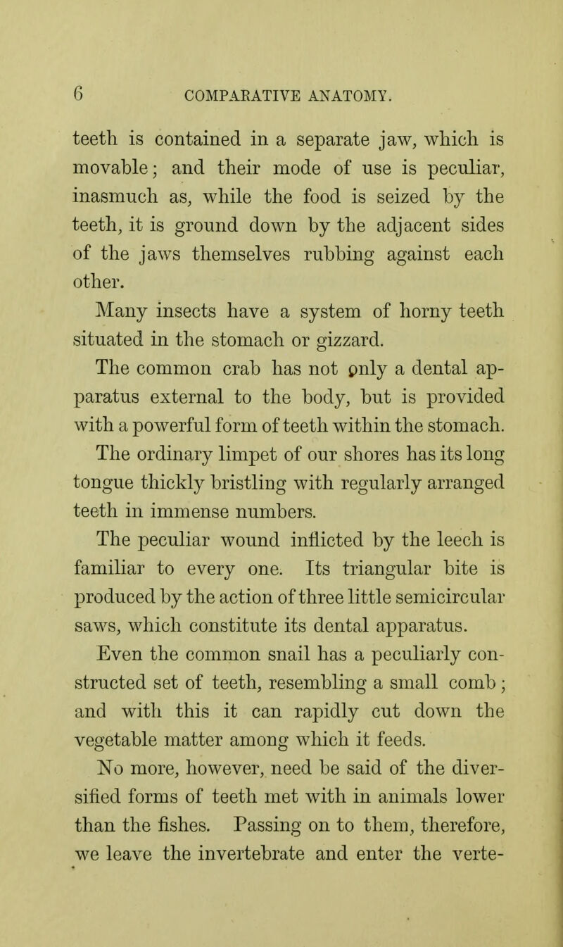 teeth is contained in a separate jaw, wliicli is movable; and their mode of use is peculiar, inasmuch as, while the food is seized by the teeth, it is ground down by the adjacent sides of the jaws themselves rubbing against each other. Many insects have a system of horny teeth situated in the stomach or gizzard. The common crab has not pnly a dental ap- paratus external to the body, but is provided with a powerful form of teeth within the stomach. The ordinary limpet of our shores has its long tongue thickly bristling with regularly arranged teeth in immense numbers. The peculiar wound inflicted by the leech is familiar to every one. Its triangular bite is produced by the action of three little semicircular saws, which constitute its dental apparatus. Even the common snail has a peculiarly con- structed set of teeth, resembling a small comb ; and with this it can rapidly cut down the vegetable matter among which it feeds. No more, however, need be said of the diver- sified forms of teeth met with in animals lower than the fishes. Passing on to them, therefore, we leave the invertebrate and enter the verte-