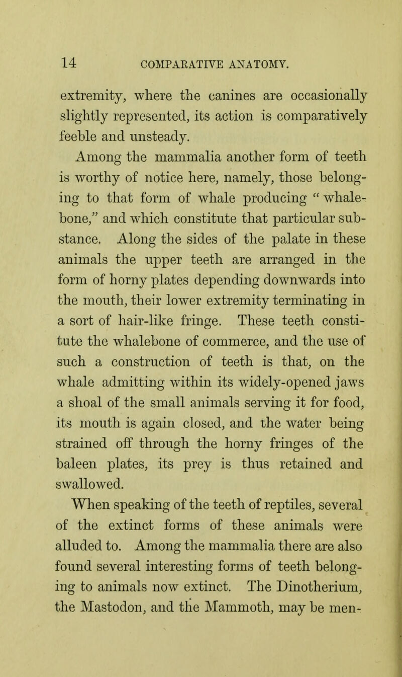 extremity, where the canines are occasionally slightly represented, its action is comparatively feeble and misteady. Among the mammalia another form of teeth is worthy of notice here, namely, those belong- ing to that form of whale producing  whale- bone, and which constitute that particular sub- stance. Along the sides of the palate in these animals the upper teeth are arranged in the form of horny plates depending downwards into the mouth, their lower extremity terminating in a sort of hair-like fringe. These teeth consti- tute the whalebone of commerce, and the use of such a construction of teeth is that, on the whale admitting within its widely-opened jaws a shoal of the small animals serving it for food, its mouth is again closed, and the water being strained off through the horny fringes of the baleen plates, its prey is thus retained and swallowed. When speaking of the teeth of reptiles, several of the extinct forms of these animals were alluded to. Among the mammalia there are also found several interesting forms of teeth belong- ing to animals now extinct. The Dinotherium, the Mastodon, and the Mammoth, may be men-