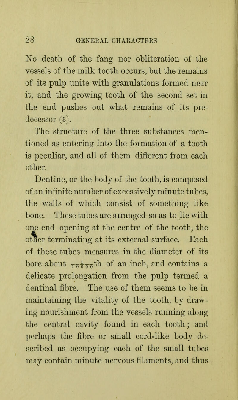 No death of the fang nor obliteration of the vessels of the milk tooth occurs, but the remains of its pulp unite with granulations formed near it, and the growing tooth of the second set in the end pushes out what remains of its pre- decessor (5). The structure of the three substances men- tioned as entering into the formation of a tooth is peculiar, and all of them different from each other. Dentine, or the body of the tooth, is composed of an infinite number of excessively minute tubes, the walls of which consist of something like bone. These tubes are arranged so as to lie with one end opening at the centre of the tooth, the o^er terminating at its exteraal surface. Each of these tubes measures in the diameter of its bore about to-^o-o^^ o^' inch, and contains a delicate prolongation from the pulp termed a dentinal fibre. The use of them seems to be in maintaining the vitality of the tooth, by draw- ing nourishment from the vessels running along the central cavity found in each tooth; and perhaps the fibre or small cord-like body de- scribed as occupying each of the small tubes may contain minute nervous filaments, and thus