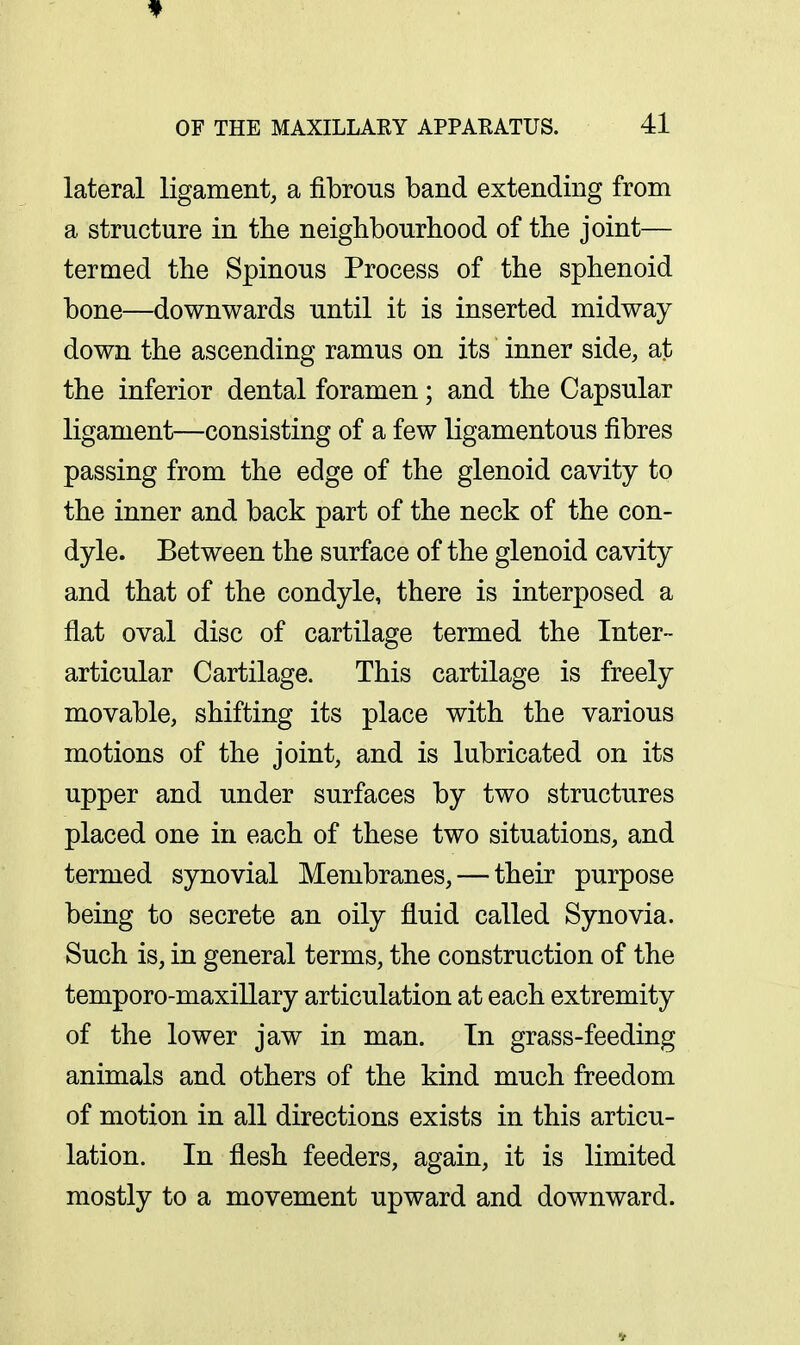 f OF THE MAXILLAEY APPAEATUS. 41 lateral ligament, a fibrous band extending from a structure in the neighbourhood of the joint— termed the Spinous Process of the sphenoid bone—downwards until it is inserted midway down the ascending ramus on its inner side, at the inferior dental foramen; and the Capsular ligament—consisting of a few ligamentous fibres passing from the edge of the glenoid cavity to the inner and back part of the neck of the con- dyle. Between the surface of the glenoid cavity and that of the condyle, there is interposed a flat oval disc of cartilage termed the Inter- articular Cartilage. This cartilage is freely movable, shifting its place with the various motions of the joint, and is lubricated on its upper and under surfaces by two structures placed one in each of these two situations, and termed synovial Membranes, — their purpose being to secrete an oily fluid called Synovia. Such is, in general terms, the construction of the temporo-maxillary articulation at each extremity of the lower jaw in man. In grass-feeding animals and others of the kind much freedom of motion in all directions exists in this articu- lation. In flesh feeders, again, it is limited mostly to a movement upward and downward.