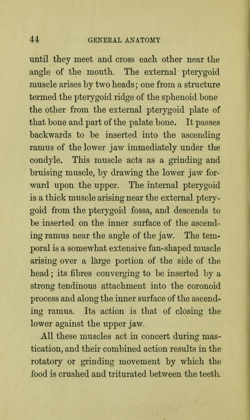 until they meet and cross each other near the angle of the mouth. The external pterygoid muscle arises by two heads; one from a structure termed the pterygoid ridge of the sphenoid bone the other from the external pterygoid plate of that bone and part of the palate bone. It passes backwards to be inserted into the ascending ramus of the lower jaw immediately under the condyle. This muscle acts as a grinding and bruising muscle, by drawing the lower jaw for- ward upon the upper. The internal pterygoid is a thick muscle arising near the external ptery- goid from the pterygoid fossa, and descends to be inserted on the inner surface of the ascend- ing ramus near the angle of the jaw. The tem- poral is a somewhat extensive fan-shaped muscle arising over a large portion of the side of the head; its fibres converging to be inserted by a strong tendinous attachment into the coronoid process and along the inner surface of the ascend- ing ramus. Its action is that of closing the lower against the upper jaw. All these muscles act in concert during mas- tication, and their combined action results in the rotatory or grinding movement by which the food is crushed and triturated between the teeth.
