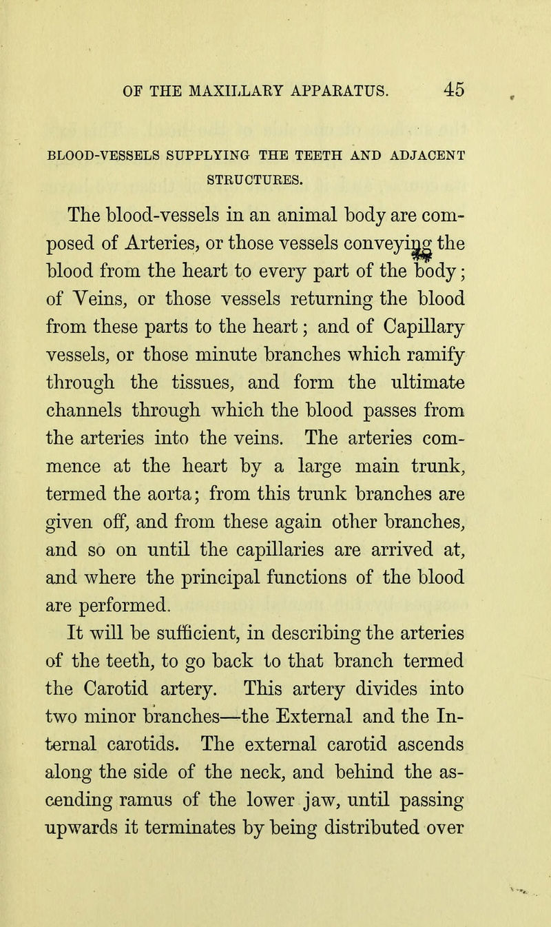 BLOOD-VESSELS SUPPLYING THE TEETH AND ADJACENT STRUCTURES. The blood-vessels in an animal body are com- posed of Arteries, or those vessels conveyi^ the blood from the heart to every part of the body; of Veins, or those vessels returning the blood from these parts to the heart; and of Capillary vessels, or those minute branches which ramify through the tissues, and form the ultimate channels through which the blood passes from the arteries into the veins. The arteries com- mence at the heart by a large main trunk, termed the aorta; from this trunk branches are given off, and from these again other branches, and so on until the capillaries are arrived at, and where the principal functions of the blood are performed. It will be sufficient, in describing the arteries of the teeth, to go back to that branch termed the Carotid artery. This artery divides into two minor branches—the External and the In- ternal carotids. The external carotid ascends along the side of the neck, and behind the as- cending ramus of the lower jaw, until passing upwards it terminates by being distributed over