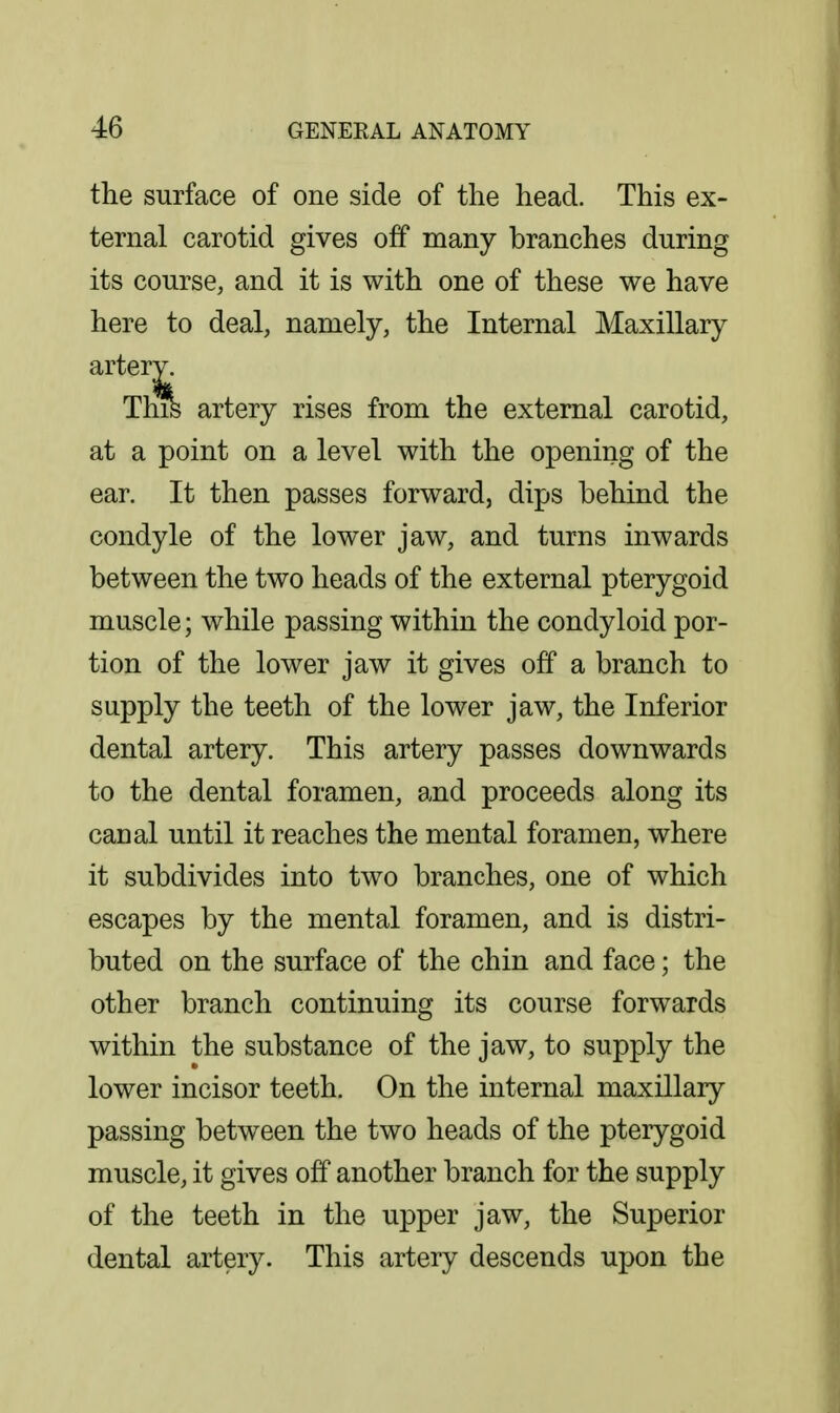 the surface of one side of the head. This ex- ternal carotid gives off many branches during its course, and it is with one of these we have here to deal, namely, the Internal Maxillary artery. Thik artery rises from the external carotid, at a point on a level with the opening of the ear. It then passes forward, dips behind the condyle of the lower jaw, and turns inwards between the two heads of the external pterygoid muscle; while passing within the condyloid por- tion of the lower jaw it gives off a branch to supply the teeth of the lower jaw, the Inferior dental artery. This artery passes downwards to the dental foramen, and proceeds along its canal until it reaches the mental foramen, where it subdivides into two branches, one of which escapes by the mental foramen, and is distri- buted on the surface of the chin and face; the other branch continuing its course forwards within the substance of the jaw, to supply the lower incisor teeth. On the internal maxillary- passing between the two heads of the pterygoid muscle, it gives off another branch for the supply of the teeth in the upper jaw, the Superior dental artery. This artery descends upon the