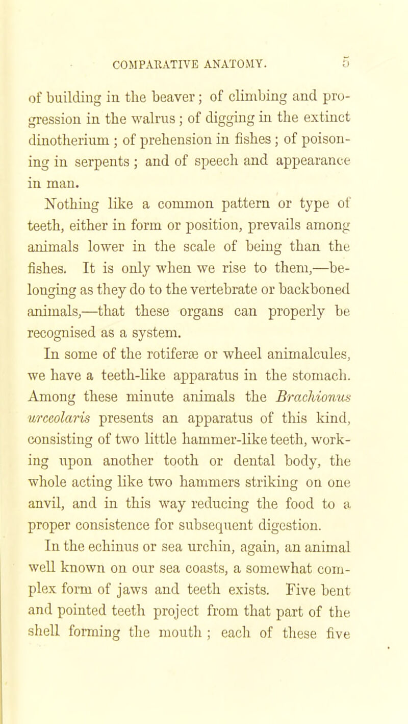 of building in the beaver; of climbing and pro- gression in the walrus; of digging in the extinct dinotherium ; of prehension in fishes; of poison- ing in serpents ; and of speech and appearance in man. Hothing like a common pattern or type of teeth, either in form or position, prevails among animals lower in the scale of being than the fishes. It is only when we rise to them,—be- longing as they do to the vertebrate or backboned animals,—that these organs can properly be recognised as a system. In some of the rotiferee or wheel animalcules, we have a teeth-like apparatus in the stomach. Among these minute animals the Brachionus urceolaris presents an apparatus of tliis kind, consisting of two little hammer-like teeth, work- ing \ipon another tooth or dental body, the whole acting like two hammers striking on one anvil, and in this way reducing the food to a proper consistence for subsequent digestion. In the echinus or sea urchm, again, an animal well known on our sea coasts, a somewhat com- plex form of jaws and teeth exists. Five bent and pointed teeth project from that part of tlie shell forming the moutli; each of these five