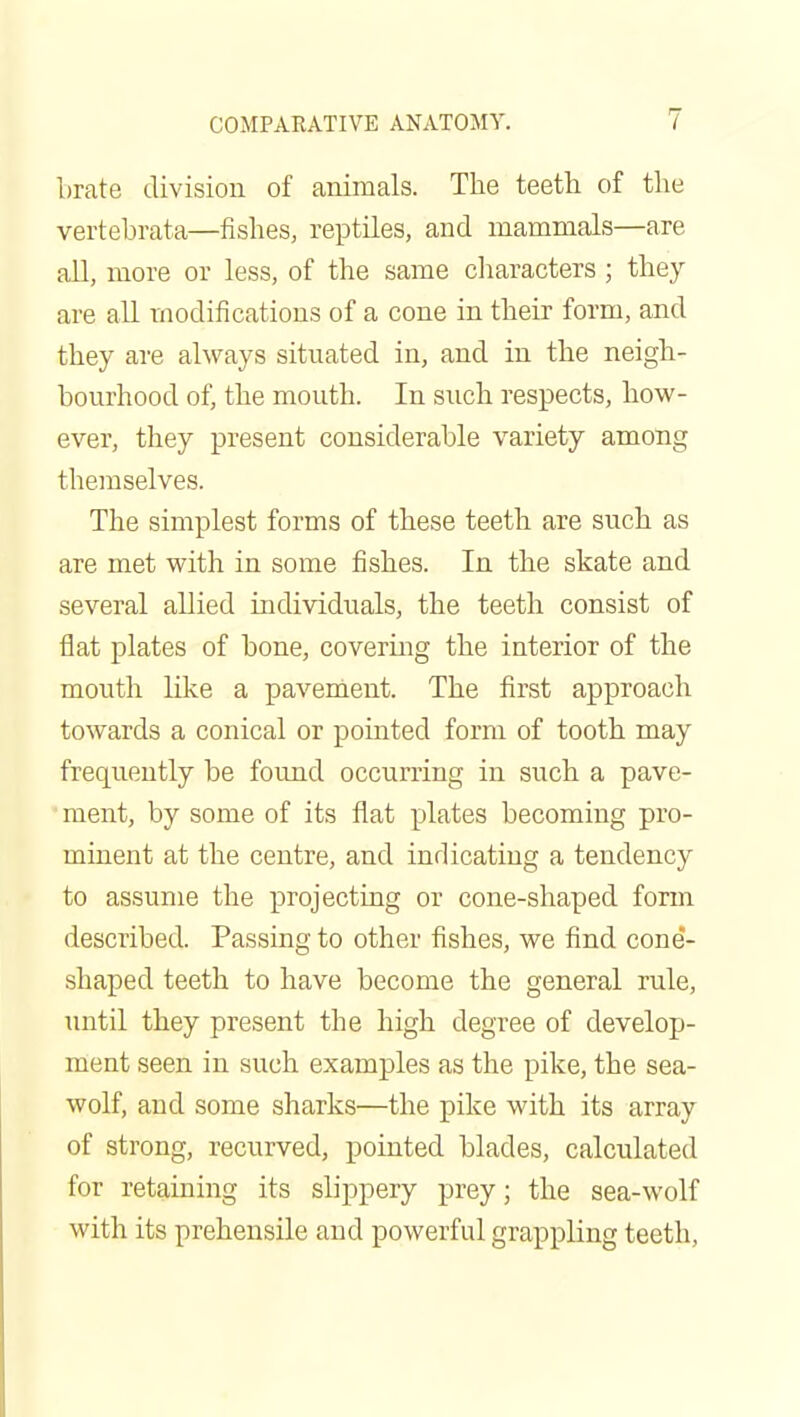 Lrate division of animals. The teeth of the vertebrata—fishes, reptiles, and mammals—are all, more or less, of the same characters ; they are all modifications of a cone in their form, and they are always situated in, and in the neigh- bourhood of, the mouth. In such respects, how- ever, they present considerable variety among themselves. The simplest forms of these teeth are such as are met with in some fishes. In the skate and several allied individuals, the teeth consist of flat plates of bone, covering the interior of the mouth like a pavement. The first approach towards a conical or pointed form of tooth may frequently be found occurring in such a pave- ment, by some of its flat plates becoming pro- minent at the centre, and indicating a tendency to assume the projecting or cone-shaped form described. Passing to other fishes, we find cone- shaped teeth to have become the general rule, Tintil they present the high degree of develop- ment seen in such examples as the pike, the sea- wolf, and some sharks—the pike with its array of strong, recurved, pointed blades, calculated for retaining its slippery prey; the sea-wolf with its prehensile and powerful grappling teeth,