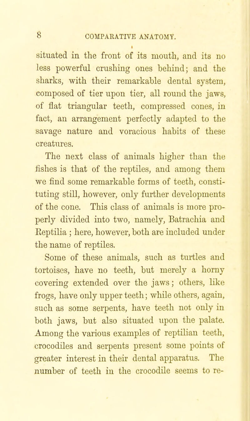 situated in the front of its mouth, and its no less powerful crushing ones behind; and the sharks, with their remarkable dental system, composed of tier upon tier, all round the jaws, of flat triangular teeth, compressed cones, in fact, an arrangement perfectly adapted to the savage nature and voracious habits of these creatures. The next class of animals higher than the fishes is that of the reptiles, and among them we find some remarkable forms of teeth, consti- tuting still, however, only further developments of the cone. This class of animals is more pro- perly divided into two, namely, Batrachia and Eeptilia ; here, however, both are included under the name of reptiles. Some of these animals, such as turtles and tortoises, have no teeth, but merely a horny covering extended over the jaws; others, like frogs, have only upper teeth; while others, again, such as some serpents, have teeth not only in both jaws, but also situated upon the palate. Among the various examples of reptilian teeth, crocodiles and serpents present some points of greater interest in their dental apparatus. The number of teeth in the crocodde seems to re-