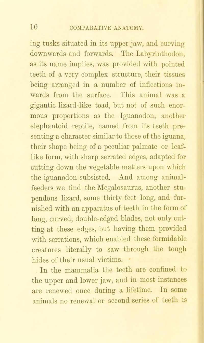 ing tusks situated in its upper jaw, and curvinjf downwards and forwards. The Labpiutliodon, as its name implies, was provided with pointed teeth of a very complex structure, their tissues being arranged in a number of inflections in- wards from the surface. This animal was a gigantic lizard-like toad, but not of such enor- mous proportions as the Iguanodon, another elephantoid reptile, named from its teeth pre- senting a character similar to those of the iguana, their shape being of a peculiar palmate or leaf- like form, with sharp serrated edges, adapted for cutting down the vegetable matters upon which the iguanodon subsisted. And among animal- feeders we find the Megalosaurus, another stu- pendous lizard, some thirty feet long, and fur- nished with an apparatus of teeth in the form of long, curved, double-edged blades, not only cut- ting at these edges, but having them provided with serrations, which enabled these formidable creatures literally to saw through the tougli hides of their usual victims. In the mammalia the teeth are confined to the upper and lower jaw, and in most instances are renewed once during a lifetime. In some animals no renewal or second series of teeth is