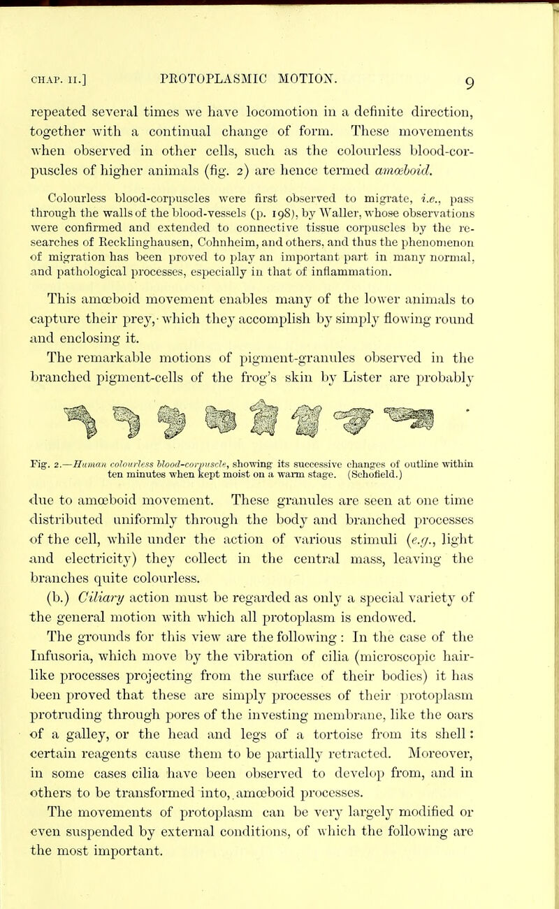 repeated several times we have locomotion in a definite direction, together with a continual change of form. These movements when observed in other cells, such as the colourless blood-cor- puscles of higher animals (fig. 2) are hence termed anioehoid. Colourless blood-corpuscles were first observed to migrate, i.e., pass through the walls of the blood-vessels (p. 198), by Waller, whose obsei-vations were confirmed and extended to connective tissue corpuscles by the re- searches of Kecklinghausen, Cohnheim, and others, and thus the phenomenon of migration has been proved to play an important part in many normal, and pathological processes, especially in that of inflammation. This amoeboid movement enables many of the lower animals to capture their prey,-which they accomplish by simply flowing round iind enclosing it. The remarkable motions of pigment-granules observed in the branched pigment-cells of the frog's skin by Lister are probably Fig. 2.—Human colourless hlood-corpuscle, showing its successive changes of outline within ten minutes when kept moist on a warm stage. (Schofield.) due to amoeboid movement. These granules are seen at one time distributed uniformly througli the body and branched processes of the cell, while under the action of various stimuli {e.g., light and electricity) they collect in the central mass, leaving the branches quite colourless. (b.) Ciliary action must be regarded as only a special variety' of the general motion with which all protoplasm is endowed. The grounds for tliis view are the following : In the case of the Infusoria, which move by the vibration of cilia (microscojjic hair- like processes projecting from the surface of their bodies) it has been proved that these are simply processes of their protoplasm protruding through pores of the investing membrane, like the oars of a galley, or the head and legs of a tortoise from its shell: certain reagents cause them to be partially retracted. Moreover, in some cases cilia have been observed to develop from, and in others to be transformed into,. amoeboid processes. The movements of protoplasm can be very largel}' modified or even suspended by external conditions, of which the following are the most important.