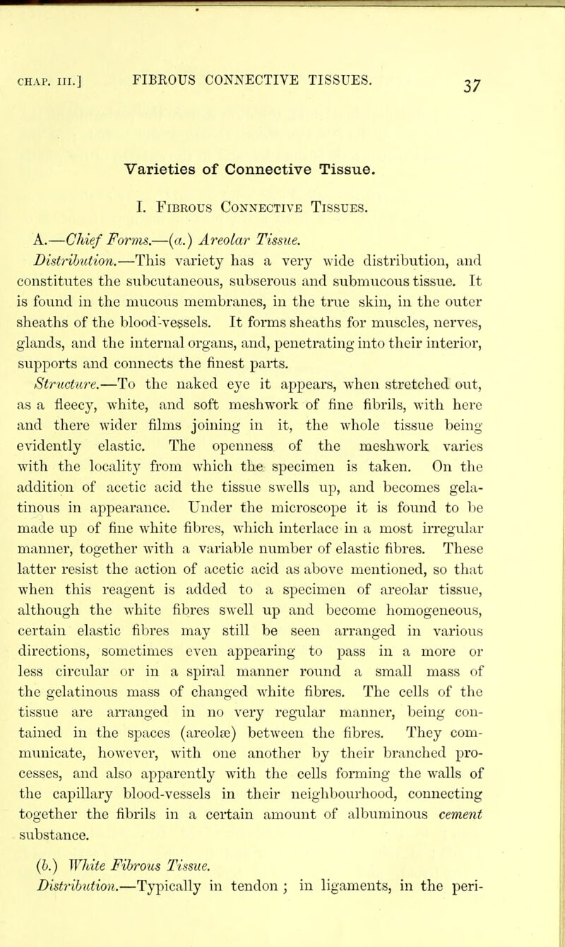 Varieties of Connective Tissue. I. Fibrous Connective Tissues. A.—Chief Forms.—(a.) Areola)- Tissue. Distrihutio7i.—This variety has a very wide distribution, and constitutes the subcutaneous, subserous and submucous tissue. It is found in the mucous membranes, in the true skin, in the outer sheaths of the blood-vessels. It forms sheaths for mviscles, nerves, glands, and the internal organs, atid, peneti'ating into their interior, supports and connects the finest parts. Structure.—To the naked eye it appears, when stretched out, as a fleecy, white, and soft meshwork of fine fibrils, with here and there wider films joining in it, the whole tissue being evidently elastic. The openness of the meshwork varies with the locality from which the specimen is taken. On the addition of acetic acid the tissue swells up, and becomes gela- tinous in appearance. Under the microscope it is found to he made up of fine white fibres, which interlace in a most irregular manner, together with a variable number of elastic fibres. These latter resist the action of acetic acid as above mentioned, so that when this reagent is added to a specimen of areolar tissue, although the white fibres swell up and become homogeneous, certain elastic fibres may still be seen arranged in various directions, sometimes even appearing to pass in a more or less circular or in a spiral manner round a small mass of the gelatinous mass of changed white fibres. The cells of the tissue are arranged in no very regular manner, being con- tained in the spaces (areohe) between the fibres. They com- municate, however, with one another by their branched pro- cesses, and also apparently with the cells forming the walls of the capillary blood-vessels in their neighbourhood, connecting together the fibrils in a certain amount of albuminous cement substance. {h.) White Fibrous Tissue. Distribution.—Typically in tendon ; in ligaments, in the peri-