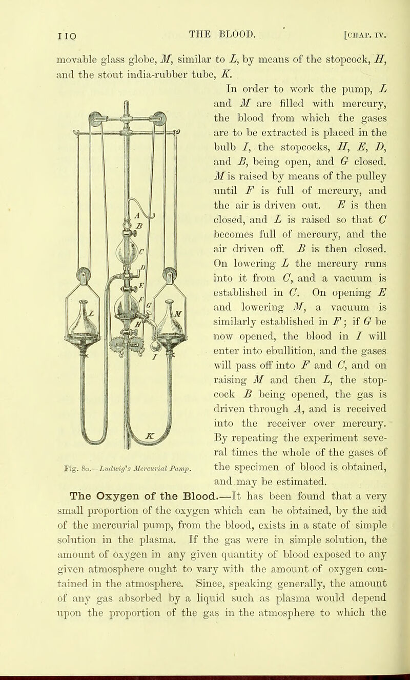 movable glass globe, M, similar to L, by means of the stopcock, H, and the stout india-mbber tnbe, K. In order to work the pnmp, L and M are filled with mercury, the blood from which the gases ai'e to be extracted is placed in the biilb /, the stopcocks, H, E, D, and B, being open, and G closed. Mia raised by means of the pulley until F is full of mercui'y, and the air is driven out. E is then closed, and L is raised so that C becomes full of mercury, and the air driven off. B is then closed. On lowering L the mercury runs into it from G, and a vacuum is established in G. On opening E and lowering M, a vacuum is similarly established in F; if (? be now opened, the blood in / will enter into ebullition, and the gases will pass off into F and G, and on raising M and then Z, the stop- cock B being opened, the gas is driven through A, and is received into the receiver over mercury. By repeating the experiment seve- ral times the Avhole of the gases of Fig. So.—Lvdivig's Mercurial Pump. the Specimen of blood is obtaiucd, and may be estimated. The Oxygen of the Blood.—It has been found that a very small proportion of the oxygen which can be obtained, by the aid of the mercurial pump, from the blood, exists in a state of simple solution in the plasma. If the gas were in simple solution, the amount of oxygen in any given quantity of blood exposed to any given atmosphere ought to vary with the amount of oxygen con- tained in the atmosphere. Since, speaking generally, the amount of any gas absorbed by a liquid such as plasma would depend upon the proportion of the gas in the atmosphere to which the