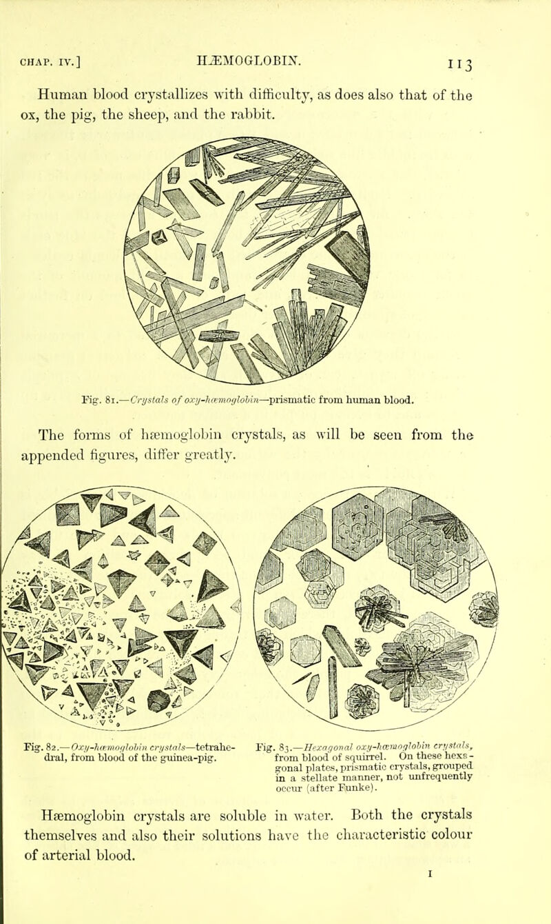 Human blood crystallizes Avith difficulty, as does also that of the ox, the pig, the sheep, and the rabbit. 'Fig. 81.—Cryslals of oxi/-Iue7>wglobiii—prismatic from human blood. The forms of hpcmogiobin crystals, as will be seen from the appended figures, difi^er greatly. Fig. 82.—Oj;i/-h(pmiigIohi)i cri/stnls—tetvahe- Fig. 83.—Mfxagortal oxy-ticcmoglobhi crysUtls, di-al, from blood of the guinea-pig. from blood of squirrel. On these hexs- gonal plates, prismatic crj'stals, grouped in a stellate manner, not imfrequently occur (after Funke). Haemoglobin crystals are soluble in water. Both the crystals themselves and also their solutions have the characteristic colour of arterial blood. I