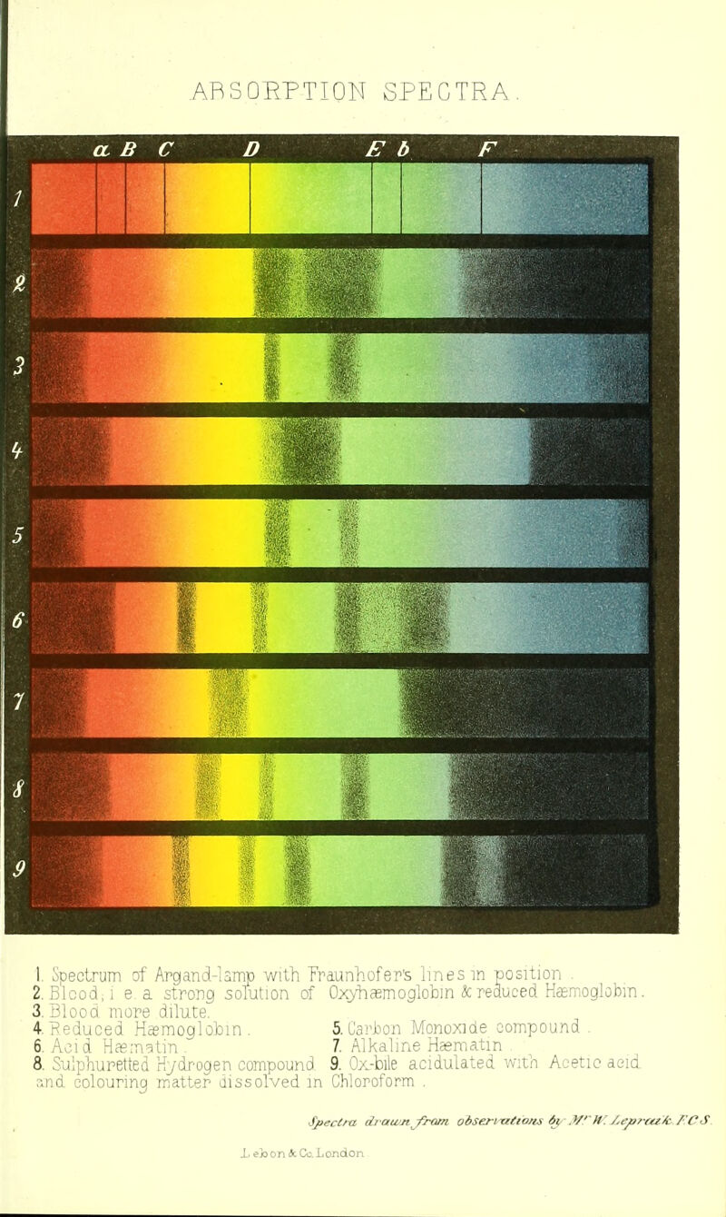 ARSOEPTION SPECTRA L iipectrum of Argand-lamp with 'Fraunhofer's lines in po 2. Blcodii e a strong solution of  ' 3. Blood more dilute, 4. Reduced Hsmoglobm. 6. Aci d Hasingtin . 8. Sulphuretted Kydr'ogen compound iition . Oxyhffimoglobin & reduced Hcemoglobm. 5. Carhon Monoxide compound 7. Alkaline Haematm 9. 07.-bile acidulated with Acetic aeid ;ind colouring matter dissolved m Chloroform Spectm di-au/jtji-^im obseriTitions 6y Mf y-,ej>rat^/'CS L ejoon licCc.London