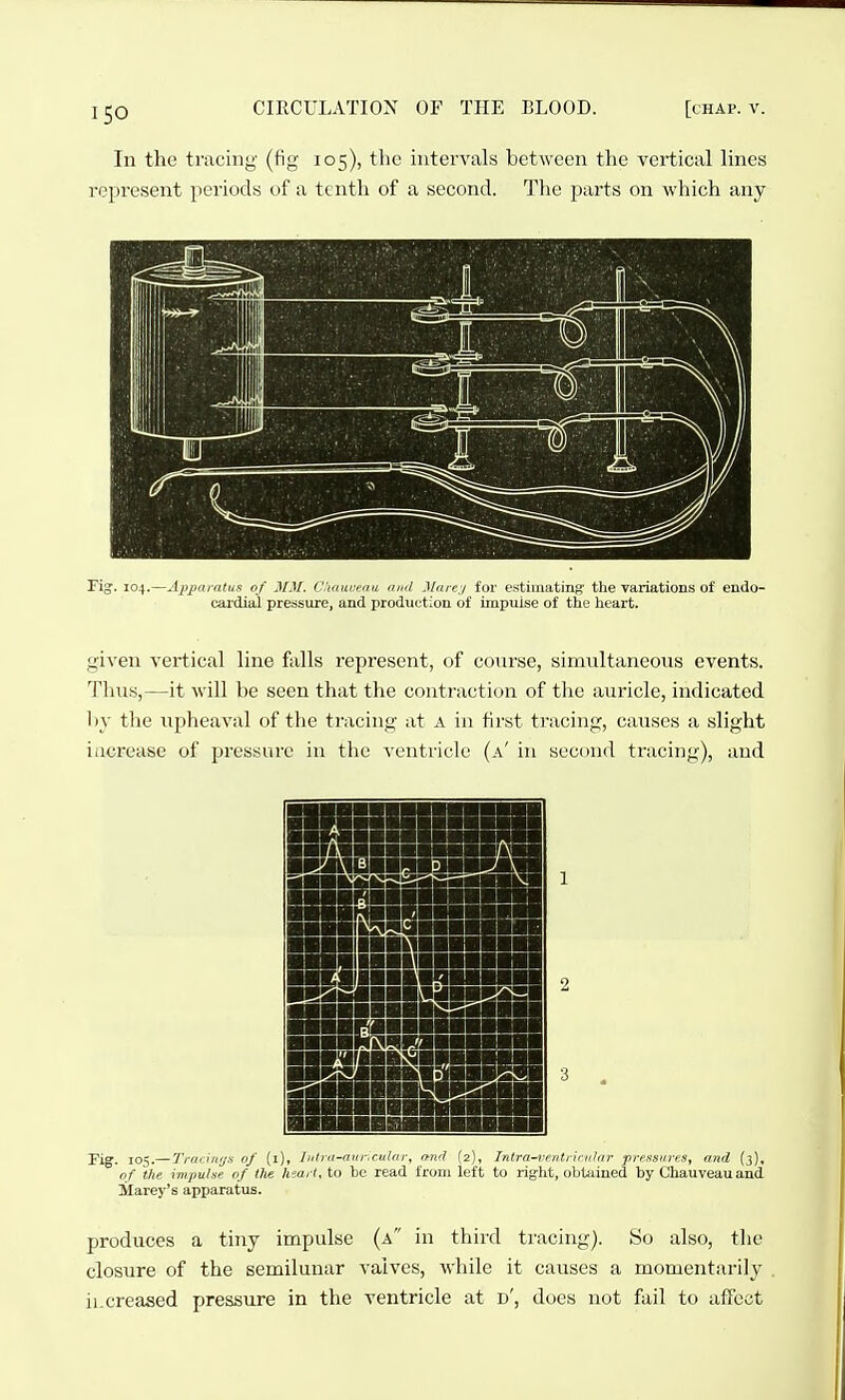 In the tracing (fig 105), tlic intervals between the vertical lines represent periods of a tt nth of a second. The parts on which any Fij. 104.—Apparatus of MM. C'unwenu mtd Mare;/ for estimating the variations of endo- cardial pressure, and production of impulse of the heart. given vertical line falls represent, of cotirse, simultaneous events. Thus,—it will be seen that the contraction of the auricle, indicated by the upheaval of the tracing at a in first tracing, causes a slight increase of pressure in the A'entricle (a' in second tracing), and Fig. 10^.— Ti-aiiaijn nf (l), lulra-niir.ctiliir, nn'l (2), lidra-renliinihir prexsans, and (3), of the. impu/se of the h'Mit, to he read from left to right, obtained by Chauveauaud Marey's apparatus. produces a tiny impulse (a in third tracing). So also, the closure of the semilunar valves, while it causes a momentarily ii.creased pressure in the ventricle at d', does not fiiil to affect