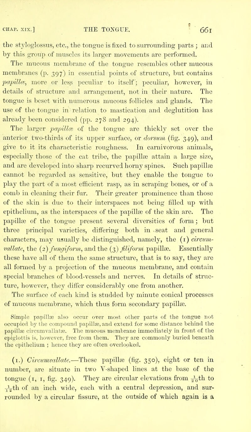 the styloglossus, etc., the tongue is fixed to sui'rounding parts ; and by this group of muscles its larger movements are performed. The mucous membrane of the tongue resembles other mucous membranes (p. 397) in essential points of structure, but contains 2KipiU(e, more or less ]5eculiar to itself; peculiar, however, in details of structure and arrangement, not in their nature. The tongue is beset with numerous mucous follicles and glands. The use of the tongue in relation to mastication and deglutition has already been considered (pp. 278 and 294). The larger pcqnllce of the tongue are thickly set over the anterior two-thirds of its upper surface, or dorsum (fig. 349), and give to it its characteristic roughness. In carnivorous animals, especially those of the cat tribe, the papilla3 attain a large size, and are developed into sharp recurved horny spines. Such papilliB cannot be regarded as sensitive, hwt they enable the tongue to play the part of a most efficient rasp, as in scraping bones, or of a comb in cleaning their fur. Their greater prominence than those of the skin is due to their interspaces not being filled up with epitheliimi, as the interspaces of the papillae of the skin are. The papillse of the tongue present several diversities of form; but three principal varieties, diff'ering both in seat and general characters, may usually be distinguished, namely, the (i) circuni- vallate, the {2) fungiform, and the {t,) filiform papillae. Essentially these have all of them the same structure, that is to say, they are all formed by a projection of the mucous membrane, and contain special branches of blood-vessels and nerves. In details of stnic- ture, however, they differ considerably one from another. The surface of each kind is studded by minute conical processes of mucous membrane, which thus form secondary papilla). Simple papillEB also occiir over most other parts of tlie tongue not occupied by the compound papillse, and extend for some distance behind the papillse circimivallatfe. The mucous membrane immediately in front of tlie epiglottis is, however, fi'ee fi-om them. They are commonly buried beneath the epithelium ; hence they arc often overlooked. (i.) Circumvallate.—These papillfe (fig. 350), eight or ten in numbei', are sittiate in two V-shaped lines at the base of the tongue (i, I, fig. 349). They are circular elevations from ^^th to •jJ^th of an inch wide, each with a central depression, and sur- rounded by a circular fissure, at the outside of which again is a