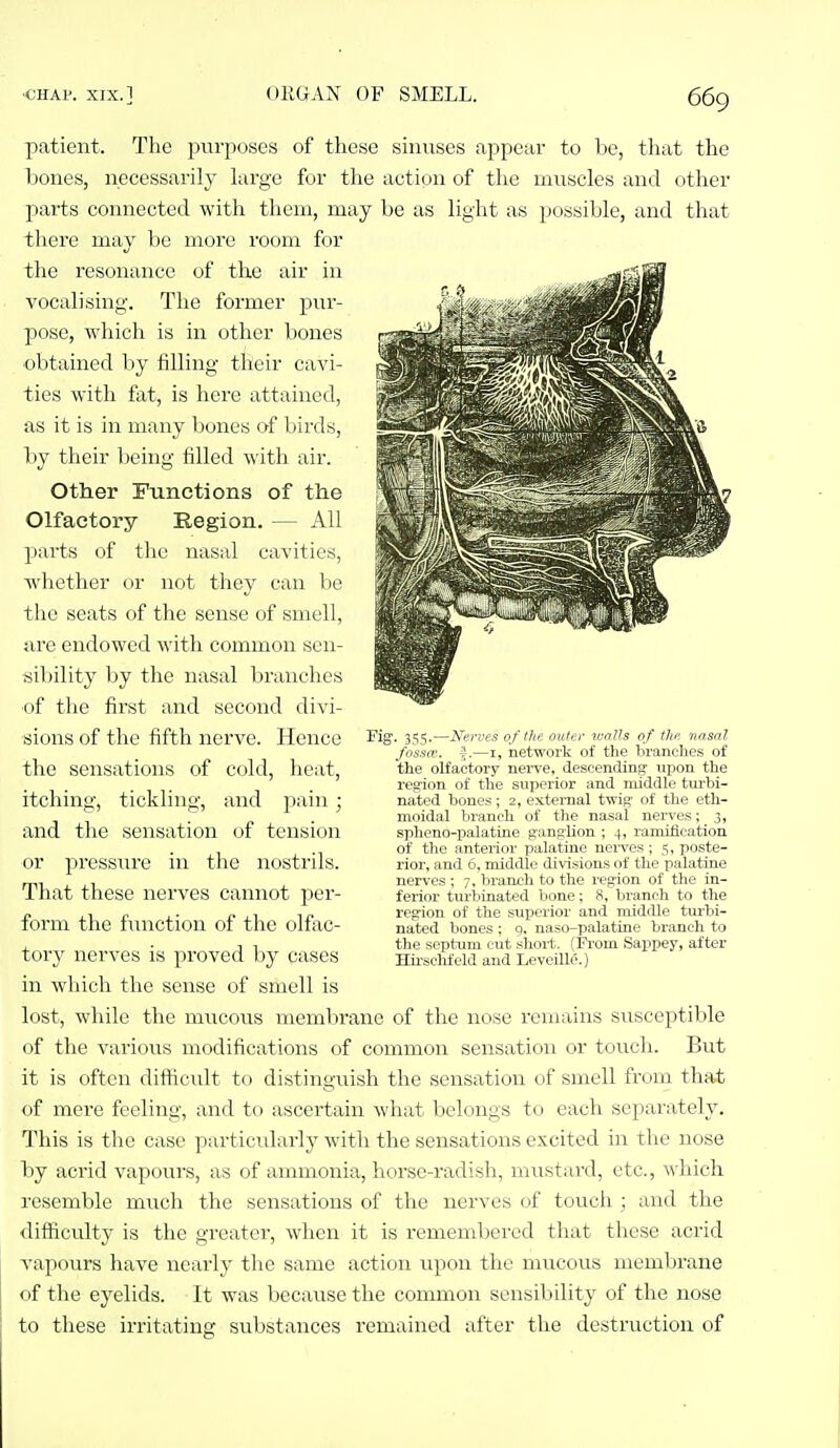 patient. The purposes of these sinuses appear to be, that the bones, necessarily large for the action of the muscles and other parts connected with them, may be as light as possible, and that there may be moi'e room for the resonance of the air in vocalising. The former pur- pose, which is in other bones obtained by filling tlieir cavi- ties with fat, is here attained, as it is in many bones of birds, by their being filled with air. Other Functions of the Olfactory Region. — All parts of the nasal cavities, wliether or not they can be the seats of the sense of smell, jire endowed with common sen- sibility by the nasal branches ■of the first and second divi- sions of the fifth nerve. Hence the sensations of cold, heat, itching, tickling, and pain; and the sensation of tension or pressure in the nostrils. That these nerves cannot per- form the function of the olfac- torj' nerves is proved by cases in which the sense of smell is lost, while the mucous membrane of the nose remains susceptible of the various modifications of common sensation or touch. But it is often difficult to distinguish the sensation of smell from that of mere feeling, and to ascertain what belongs to each separately. This is the case particiilarly with the sensations excited in the nose by acrid vapours, as of ammonia, horse-radish, mustard, etc., which resemble much the sensations of the nerves of touch ; and the difficulty is the greater, when it is remembered that these acrid vapours have nearly the same action upon the mucous membrane of the eyelids. It was because the common sensibility of the nose to these irritating substances remained after the destruction of Fig, 355.—Nerves of the outer walls of the nasal fossa, j;.—I, network of the branches of the olfactory nerve, descending- upon the region of the superior and luiddli'turbi- nated bones; 2, external twis nf the eth- moidal branch of the nasal nerves; 3, spheno-palatine sangUon ; 4, ramification of the anterior palatine nei-ves ; 5, poste- rior, and 6. middle divisions of the palatine nerves ; 7, branch to the region of the in- ferior turbinated bone; 8, branch to the regrion of the superior and middle turbi- nated bones ; 9. naso-palatine branch to the septum cut short. (From Sappey, after Hu-sclifeld and Leveille.)