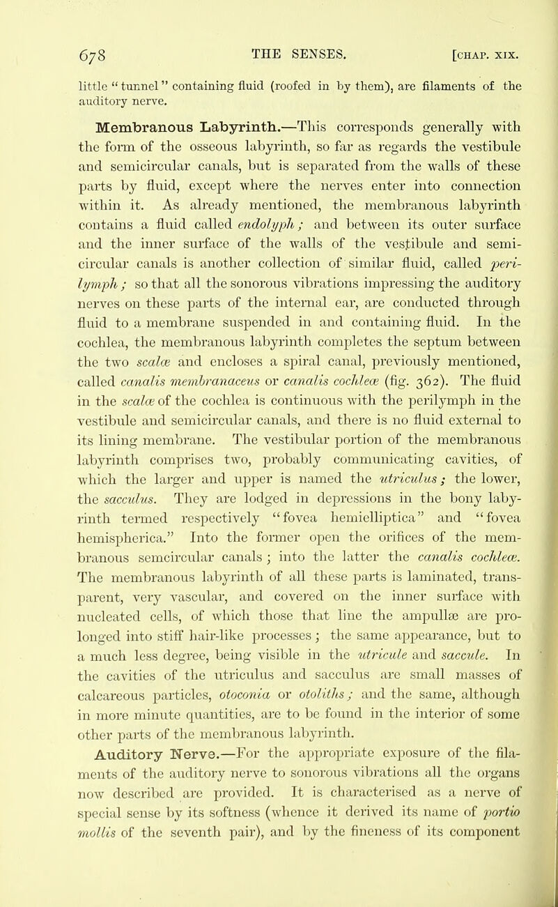 little  tunnel containing fluid (roofed in by them), are filaments of the auditory nerve. Membranous Labyrinth.—This corresponds generally with the form of the osseous labyrinth, so far as regards the vestibule and semicircular canals, but is separated from the walls of these parts by fluid, except where the nerves enter into connection within it. As already mentioned, the membranous labyrinth contains a fluid called endolyph; and between its outer surface and the inner surface of the walls of the vestibule and semi- circular canals is another collection of similar fluid, called peri- lynvph ; so that all the sonorous vibrations impressing the auditory nerves on these parts of the internal ear, are conducted through fluid to a membrane suspended in and containing fluid. In the cochlea, the membranous labyrinth completes the septum between the two scal(B and encloses a spiral canal, previously mentioned, called catialis memhranaceus or canalis cocJdece (fig. 362). The fluid in the scalce of the cochlea is continuous with the perilymph in the vestibule and semicircular canals, and there is no fluid external to its lining membrane. The vestibular portion of the membranous labyrinth comprises two, probably communicating cavities, of which the larger and upper is named the utriculm; the lower, the sacculus. They are lodged in depressions in the bony laby- rinth termed respectively fovea hemielliptica and fovea hemisphcrica. Into the former open tlie orifices of the mem- branous semcircular canals ; into the latter the canalis coclileoe. The membranous labyrinth of all these parts is laminated, trans- parent, very vascular, and covered on the inner surface with nucleated cells, of which those that line the ampullae are pro- longed into stiff hair-like processes; the same appearance, but to a much less degree, being visible in the utricule and saccule. In the cavities of the utriculus and sacculus are small masses of calcareous particles, otoconia or otoliths; and the same, although in more minute quantities, are to be found in the interior of some other parts of the membranous labyrinth. Auditory Nerve.—For the appropriate exposure of the fila- ments of the aiiditory nerve to sonorous vibrations all the organs now described are provided. It is characterised as a nerve of special sense by its softness (whence it derived its name of portia mollis of the seventh pair), and by the fineness of its component