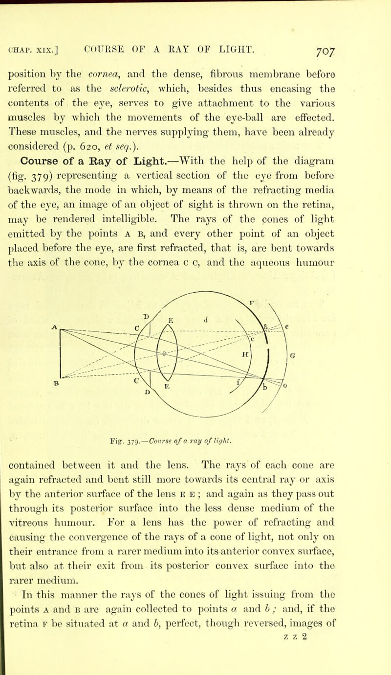 position by the cornea, and the dense, fibrous membrane before referred to as the sclerotic, which, besides thus encasing the contents of the eye, servos to give attachment to the various muscles by which the movements of the eye-ball are effected. These muscles, and the nerves supplying them, have been already considered (p. 620, et seg.). Course of a Ray of Light.—With the help of the diagram (hg. 379) representing a vertical section of the eye from before backwards, the mode in which, by means of the refracting media of the eye, an image of an object of siglit is thrown on the retina, may be rendered intelligible. The rays of the cones of light emitted by the points a b, and every other point of an object placed before the eye, are first refracted, that is, are bent towards the axis of the cone, by the cornea c c, and the aqueous humour Fig. 379.—Course of o ray of light. contained between it and the lens. The rays of each cone are again refracted and bent still more towards its central ray or axis by the anterior sxirface of the lens e e ; and again as they pass out through its posterior sixrface into the less dense medium of the vitreous liumour. For a lens has the power of refracting and caiising tlic convergence of the rays of a cone of light, not only on their entnuice from a rarer medium into its anterior convex surface, but also at their exit from its posterior convex surface into the rarer medium. In this manner the rays of the cones of light issuing fiom the points A and b are again collected to points a and h : and, if the retina f be situated at a and b, perfect, though reversed, images of z z 2