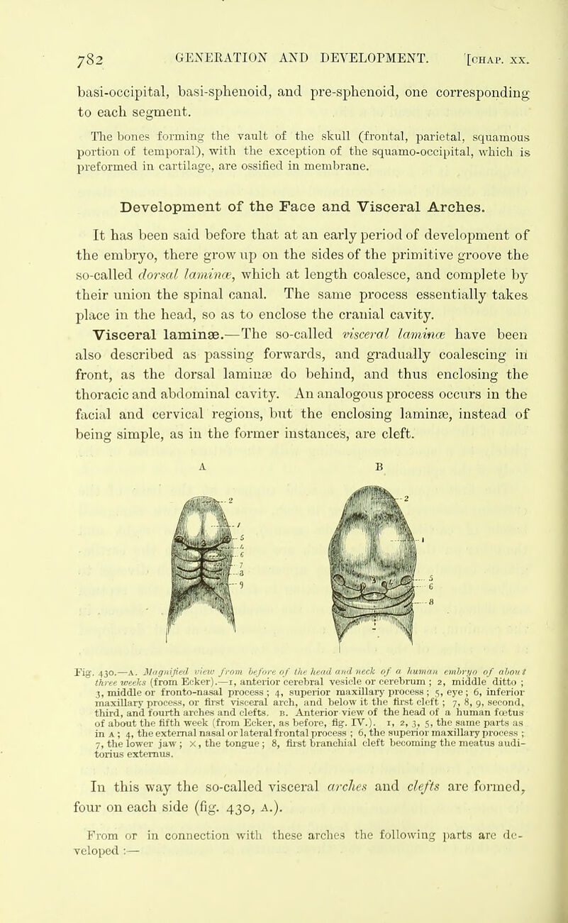 basi-occipital, basi-sphenoid, and pre-sphenoid, one corresponding to each segment. The bones forming the vault of the skull (frontal, parietal, squamous portion of temporal), with the exception of the squamo-occipital, which is preformed in cartilage, are ossified in membrane. Development of tlie Face and Visceral Arches. It has been said before that at an early period of development of the embryo, there grow up on the sides of the primitive groove the so-called dor'sal lamina', which at length coalesce, and complete by their union the spinal canal. The same process essentially takes place in the head, so as to enclose the cranial cavity. Visceral laminae.—The so-called visceral lamince have been also described as passing forwards, and gradually coalescing in front, as the dorsal laminae do behind, and thus enclosing the thoracic and abdominal cavity. An analogous process occurs in the facial and cervical regions, but the enclosing laminse, instead of being simple, as in the former instances, are cleft. Pig. 430.—A. Miigmfied vielo from he/ore of thf head and neck of a humnn embrt/o of about three weeks (from Ecker).—i, anterior cerebral vesicle or cerebrum ; 2, middle ditto ; 3, middle or fronto-nasal proc&ss ; 4, superior maxillary process ; 5, eye; 6, inferior maxillary process, or first visceral arch, and below it the first cleft ; 7, 8, 9, second, third, and fourth arches and clefts, n. Anterior view of the head of a human fd'tus of about the fifth week (from Ecker, as before, Hg. TV.), i, 2, 3, 5, the same jiarts as in A ; 4, the external nasal or lateral frontal process ; 6, the superior maxillary process ; 7, the lower jaw; X, the tongue; 8, fli'st branchial cleft becoming the meatus audi- torius extemus. In this way the so-called visceral arches and clefts are formed, four on each side (fig. 430, a.). From or in connection with these arches the following parts are de- veloped :—