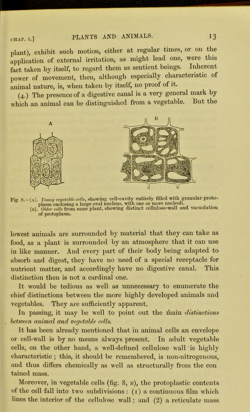 plant), exhibit such motion, either at regular times, or on the application of external irritation, as might lead one, were this fact taken by itself, to regard them as sentient beings. Inherent power of movement, then, although especially characteiistic of animal nature, is, when taken by itself, no proof of it. (4.) The presence of a digestive canal is a very general maik by which an animal can be distinguished from a vegetable. Lut the Fig. 8.—(\). Young vegetable cells, showing cell-cavity entirely filled with granular proto- plasm enclosing a large oval nucleus, with one or more nucleoli. (b). Older cells from same plant, showing distinct cellulose-wall and vacuolation of protoplasm. lowest animals are surrounded by material that they can take as food, as a plant is surrounded by an atmosphere that it can use in like manner. And every part of their body being adapted to absorb and digest, they have no need of a special receptacle for nutrient matter, and accordingly have no digestive canal. This distinction then is not a cardinal one. It would be tedious as well as unnecessary to enumerate the chief distinctions between the more highly developed animals and vegetables. They are sufficiently apparent. In passing, it may be well to point out the main distinctions between animal and vegetable cells. It has been already mentioned that in animal cells an envelope or cell-wall is by no means always present. In adult vegetable cells, on the other hand, a well-defined cellulose wall is highly characteristic ; this, it should be remembered, is non-nitrogenous, and thus differs chemically as well as structurally from the con tained mass. Moreover, in vegetable cells (fig. 8, b), the protoplastic contents of the cell fall into two subdivisions : (1) a continuous film which lines the interior of the cellulose wall; and (2) a reticulate mass