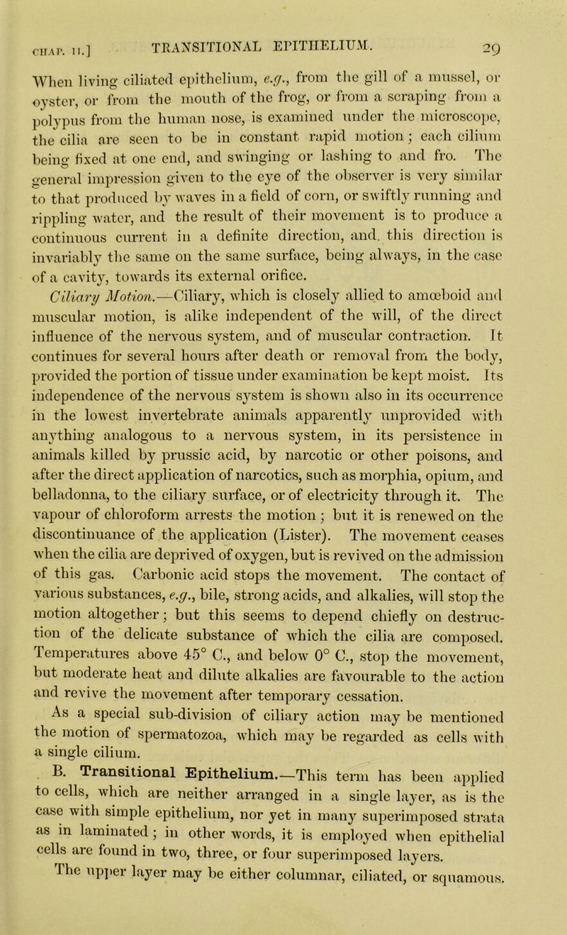 TRANSITIONAL EPITHELIUM. When living ciliated epithelium, e.g., from the gill of a mussel, or oyster, or from the mouth of the frog, or from a scraping from a polypus from the human nose, is examined under the microscope, the cilia are seen to be in constant rapid motion; each cilium being fixed at one end, and swinging or lashing to and fro. The general impression given to the eye of the observer is very similar to that produced by waves in a field of corn, or swiftly running and rippling water, and the result of their movement is to produce a continuous current in a definite direction, and. this direction is invariably the same on the same surface, being always, in the case of a cavity, towards its external orifice. Ciliary Motion.—Ciliary, which is closely allied to amoeboid and muscular motion, is alike independent of the will, of the direct influence of the nervous system, and of muscular contraction. It continues for several hours after death or removal from the body, provided the portion of tissue under examination be kept moist. Its independence of the nervous S3^stem is shown also in its occurrence in the lowest invertebrate animals apparently unprovided with anything analogous to a nervous system, in its persistence in animals killed by prussic acid, by narcotic or other poisons, and after the direct application of narcotics, such as morphia, opium, and belladonna, to the ciliary surface, or of electricity through it. The vapour of chloroform arrests the motion ; but it is renewed on the discontinuance of the application (Lister). The movement ceases when the cilia are deprived of oxygen, but is revived on the admission of this gas. Carbonic acid stops the movement. The contact of various substances, e.g., bile, strong acids, and alkalies, will stop the motion altogether; but this seems to depend chiefly on destruc- tion of the delicate substance of which the cilia are composed. Temperatures above 45° C., and below 0° C., stop the movement, but moderate heat and dilute alkalies are favourable to the action and revive the movement after temporary cessation. As a special sub-division of ciliary action may be mentioned the motion of spermatozoa, which may be regarded as cells with a single cilium. B. Transitional Epithelium.—This term has been applied to cells, which are neither arranged in a single layer, as is the case with simple epithelium, nor yet in many superimposed strata as in laminated; in other words, it is employed when epithelial cells are found in two, three, or four superimposed layers. The upper layer may be either columnar, ciliated, or squamous.