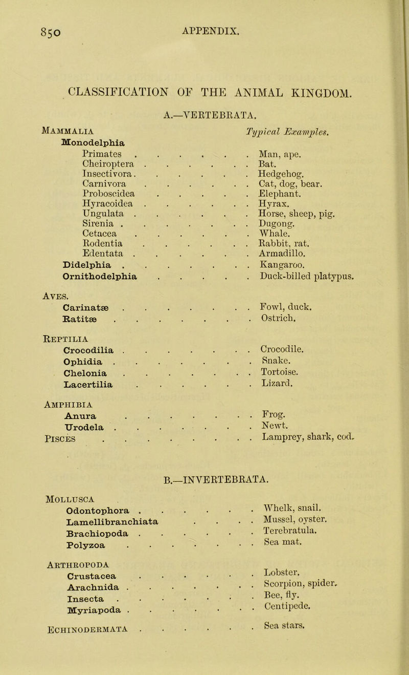 CLASSIFICATION OF THE ANIMAL KINGDOM. A.—VERTEBRATA. Mammalia Typical Examples. Monodelphia Primates . Man, ape. Cheiroptera . . . Bat. Insectivora. . Hedgehog. Carnivora . . Cat, dog, bear. Proboscidea . Elephant. Hyracoidea . . Hyrax. Ungulata . . Horse, sheep, pig. Siren ia . . . Dugong. Cetacea . Whale. Rodentia . . Rabbit, rat. Edentata . . Armadillo. Didelphia . . Kangaroo. Ornithodelphia . Duck-billed platypus. Aves. Carinatae . Fowl, duck. Ratitee . Ostrich. Reptilia Crocodilia . . Crocodile. Ophidia . . Snake. Chelonia . . Tortoise. Lacertilia . Lizard. Amphibia Anura Frog. TJrodela . . Newt. Pisces Lamprey, shark, cod. B.—INVERTEBRATA. Mollusca Odontophora . Whelk, snail. Lamellibranchiata . . Mussel, oyster. Brachiopoda . . Terebratula. Polyzoa Sea mat. Arthropoda Crustacea Arachnida . Insecta Myriapoda . Echinodermata Lobster. Scorpion, spider. Bee, fly. Centipede. Sea stars.
