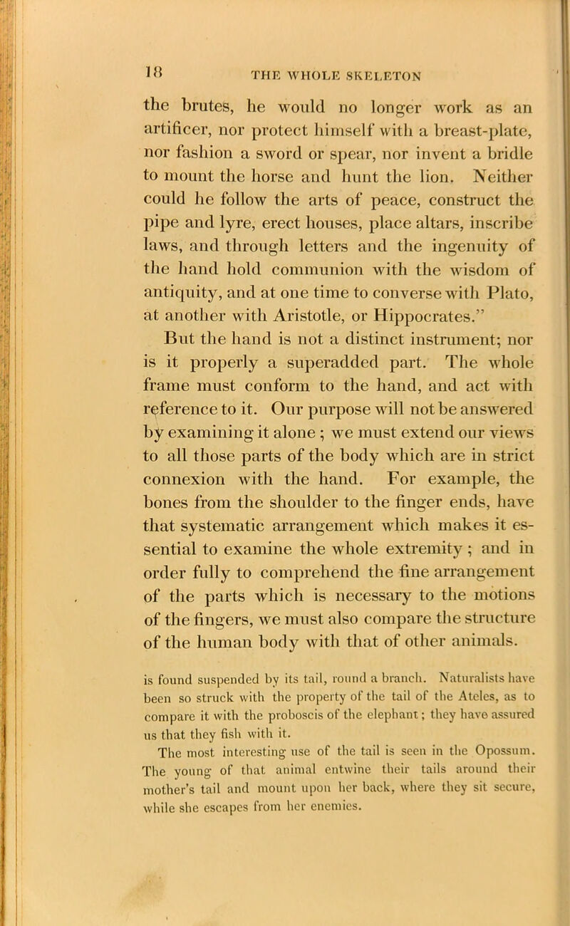 THE WHOLE SKELETON the brutes, he would no longer work as an artificer, nor protect himself with a breast-plate, nor fashion a sword or spear, nor invent a bridle to mount the horse and hunt the lion. Neither could he follow the arts of peace, construct the pipe and lyre, erect houses, place altars, inscribe laws, and through letters and the ingenuity of the hand hold communion with the wisdom of antiquity, and at one time to converse with Plato, at another with Aristotle, or Hippocrates.” But the hand is not a distinct instrument; nor is it properly a superadded part. The whole frame must conform to the hand, and act with reference to it. Our purpose will not be answered by examining it alone ; we must extend our views to all those parts of the body which are in strict connexion with the hand. For example, the bones from the shoulder to the finger ends, have that systematic arrangement which makes it es- sential to examine the whole extremity; and in order fully to comprehend the fine arrangement of the parts which is necessary to the motions of the fingers, we must also compare the structure of the human body with that of other animals. is found suspended by its tail, round a branch. Naturalists have been so struck with the property of the tail of the Ateles, as to compare it with the proboscis of the elephant; they have assured us that they fish with it. The most interesting use of the tail is seen in the Opossum. The young of that animal entwine their tails around their mother’s tail and mount upon her back, where they sit secure, while she escapes from her enemies.