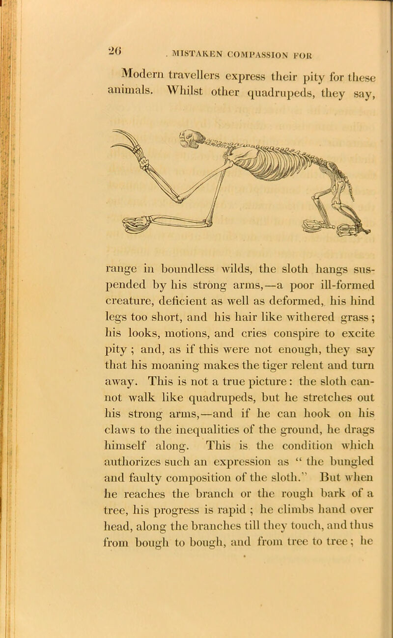 Z{) ■ MISTAKEN COMPASSION FOR Modern travellers express their pity for these animals. Whilst other quadrupeds, they say, range in boundless wilds, the sloth hangs sus- pended by his strong arms,—a poor ill-formed creature, deficient as well as deformed, his hind legs too short, and his hair like withered grass; his looks, motions, and cries conspire to excite pity ; and, as if this were not enough, they say that his moaning makes the tiger relent and turn away. This is not a true picture: the sloth can- not walk like quadrupeds, but he stretches out his strong arms,—and if he can hook on his claws to the inequalities of the ground, he drags himself along. This is the condition which authorizes such an expression as “ the bungled and faulty composition of the sloth. But when he reaches the branch or the rough bark of a tree, his progress is rapid ; he climbs hand over head, along the branches till they touch, and thus from bough to bough, and from tree to tree; he