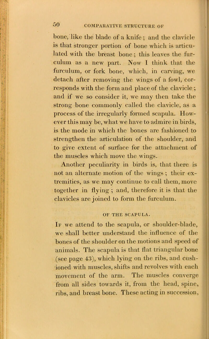 SO COMPARATIVE STRUCTURE OF bone, like the blade of a knife ; and the clavicle is that stronger portion of bone which is articu- lated with the breast bone; this leaves the fur- culum as a new part. Now I think that the furculum, or fork bone, which, in carving, we detach after removing the wings of a fowl, cor- responds with the form and place of the clavicle ; and if we so consider it, we may then take the strong bone commonly called the clavicle, as a process of the irregularly formed scapula. How- ever this may be, what we have to admire in birds, is the mode in which the bones are fashioned to strengthen the articulation of the shoulder, and to give extent of surface for the attachment of the muscles which move the wings. Another peculiarity in birds is, that there is not an alternate motion of the wings ; their ex- tremities, as we may continue to call them, move together in flying ; and, therefore it is that the clavicles are joined to form the furculum. OF THE SCAPULA. If we attend to the scapula, or shoulder-blade, we shall better understand the influence of the bones of the shoulder on the motions and speed of animals. The scapula is that flat triangular bone (see page 43), which lying on the ribs, and cush- ioned with muscles, shifts and revolves with each movement of the arm. The muscles converge from all sides towards it, from the head, spine, ribs, and breast bone. These acting in succession,