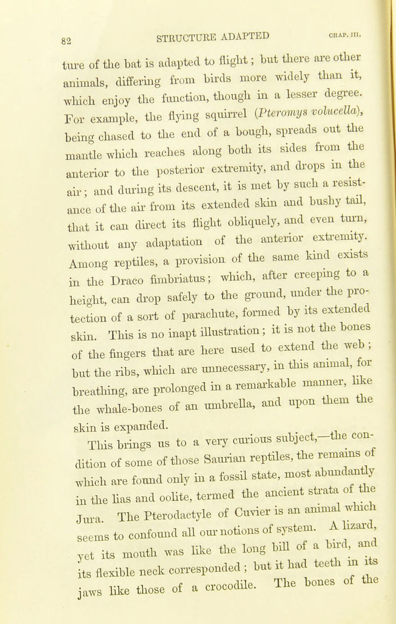 tm-e of the bat is adapted to flight; but tliere are other animals, differmg from bii-ds more widely than it, which enjoy the function, though in a lesser degree. For example, the flying squirrel {Pteromys volucella), being chased to ihe end of a bough, spreads out the mantle which reaches along botli its sides from the anterior to the posterior exti-emity, and di-ops m the air; and dvn:ing its descent, it is met by such a resist- ance of the air from its extended skin and bushy tail, that it can dii-ect its flight obhquely, and even tm^n, without any adaptation of the anterior extiWy. Among reptiles, a provision of tiie same kind exists in tlie Draco fimbriatus; wliich, after creepmg to a height, can drop safely to the groimd, under the pro- tection of a sort of pai^achute, formed by its extended skin Tliis is no inapt iHustration; it is not tlie bones of tlie fingers that axe here used to extend the web ; but the ribs, which are unnecessaiy, in tHs ammal for breathing, are prolonged in a remai^kable manner, like the whale-bones of an umbrella, and upon them the skin is expanded. Tins brings us to a very curious subjeet.-Uae con- dition of some of those Saurian reptiles, tire remains of winch are fouird only in a fossil state, most ahundsntty in tire lias and ooUte, termed the ancient sti-ata of the Jm-a. The Ptsrodaotyle of Cuvier is an animal ..hrch seems to confound all om- notions of system. A taar-d yet its mouth was like the long hill of a bn-d. and its flexible neck corresponded ; but it had testis m rte jaws like those of a crocodile. The bones of the