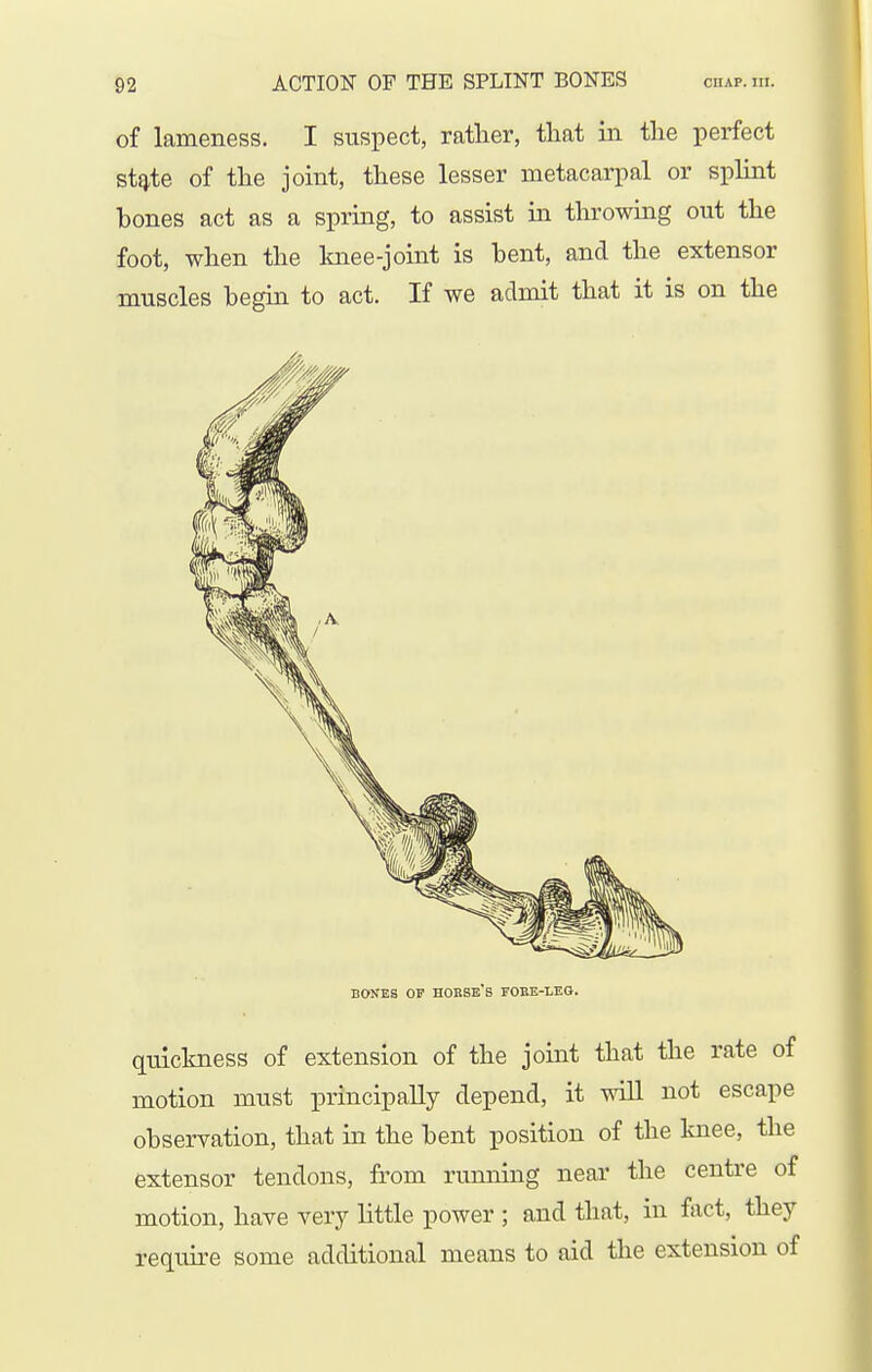 of lameness. I suspect, rather, tliat in the perfect stq,te of the joint, these lesser metacarpal or splint bones act as a spring, to assist in tlirowing out the foot, when the knee-joint is bent, and the extensor muscles begin to act. If we admit that it is on the BONES OP HOBSE'S FOBE-LEG. quickness of extension of the joint that the rate of motion must principally depend, it will not escape observation, that in the bent position of the knee, the extensor tendons, from rumiing near the centre of motion, have very little power ; and that, in fact, they require some additional means to aid the extension of