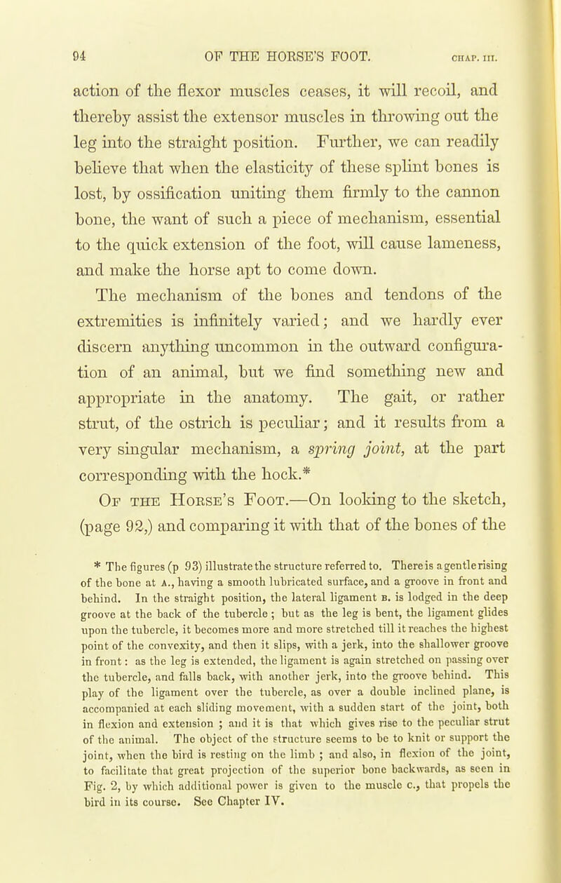 action of the flexor muscles ceases, it will recoil, and thereby assist the extensor muscles in throwing out the leg into the straight position. Further, we can readily believe that when the elasticity of these splint bones is lost, by ossification uniting them firmly to the cannon bone, the want of such a piece of mechanism, essential to the quick extension of the foot, will cause lameness, and make the horse apt to come down. The mechanism of the bones and tendons of the extremities is infinitely varied; and we hardly ever discern anything uncommon in the outward configura- tion of an animal, but we find something new and apxoropriate in the anatomy. The gait, or rather strut, of the ostrich is peculiar; and it results from a very singular mechanism, a spring joint, at the part corresponding with the hock.* Of the Horse's Foot.—On looldng to the sketch, (page 92,) and comparing it with that of the bones of the * The figures (p 93) illustrate the structure referred to. Thereis ageutlerising of the hone at A., having a smooth luhricated surface, and a groove in front and hehind. In the straight position, the lateral ligament b. is lodged in the deep groove at the back of the tubercle ; but as the leg is bent, the ligament glides upon the tubercle, it becomes more and more stretched till it reaches the highest point of the convexity, and then it slips, with a jerk, into the shallower groove in front: as the leg is extended, the ligament is again stretched on passing over the tubercle, and falls back, with another jerk, into the groove behind. This play of the ligament over the tubercle, as over a double inclined plane, is accompanied at each sliding movement, with a sudden start of the joint, both in flexion and extension ; and it is that which gives rise to the peculiar strut of the animal. The object of the structure seems to be to knit or support the joint, when the bird is resting on the limb ; and also, in flexion of the joint, to facilitate that great projection of the superior bone backwards, as seen in Fig. 2, by which additional power is given to the muscle c, that propels the bird in its course. See Chapter IV.