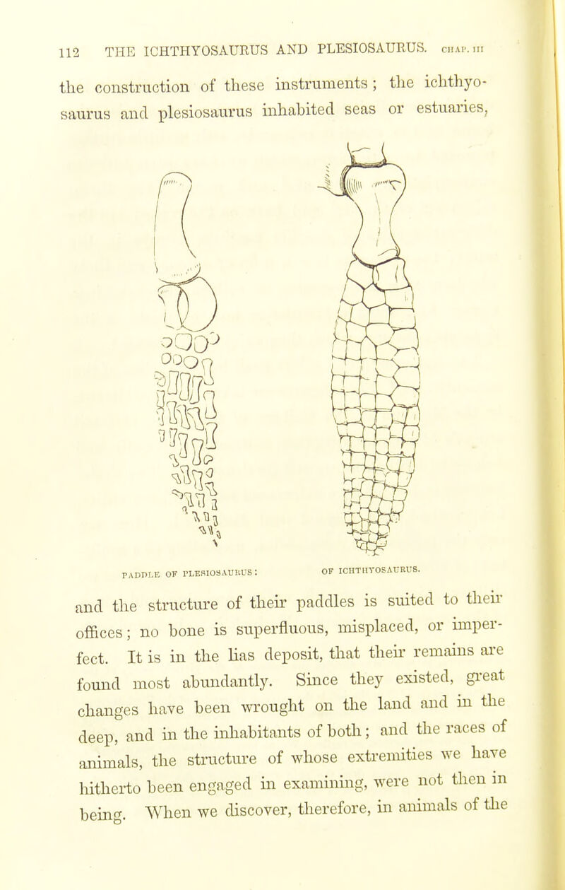 the construction of these instruments ; the ichthyo- saurus and iDlesiosaurus inhabited seas or estuaries, 'a PADPLE OK I'LERIOSAUKUS: OF ICnTHTOSAURUS. and the structure of their paddles is suited to thek offices; no bone is superfluous, misplaced, or imper- fect. It is in the Has deposit, that their remains are found most abundantly. Since they existed, gi'eat changes have been wrought on the land and in the deep, and in the inhabitants of both; and the races of animals, the structure of whose extremities we have hitherto been engaged in examining, were not then m hem^. When we discover, therefore, in animals of the