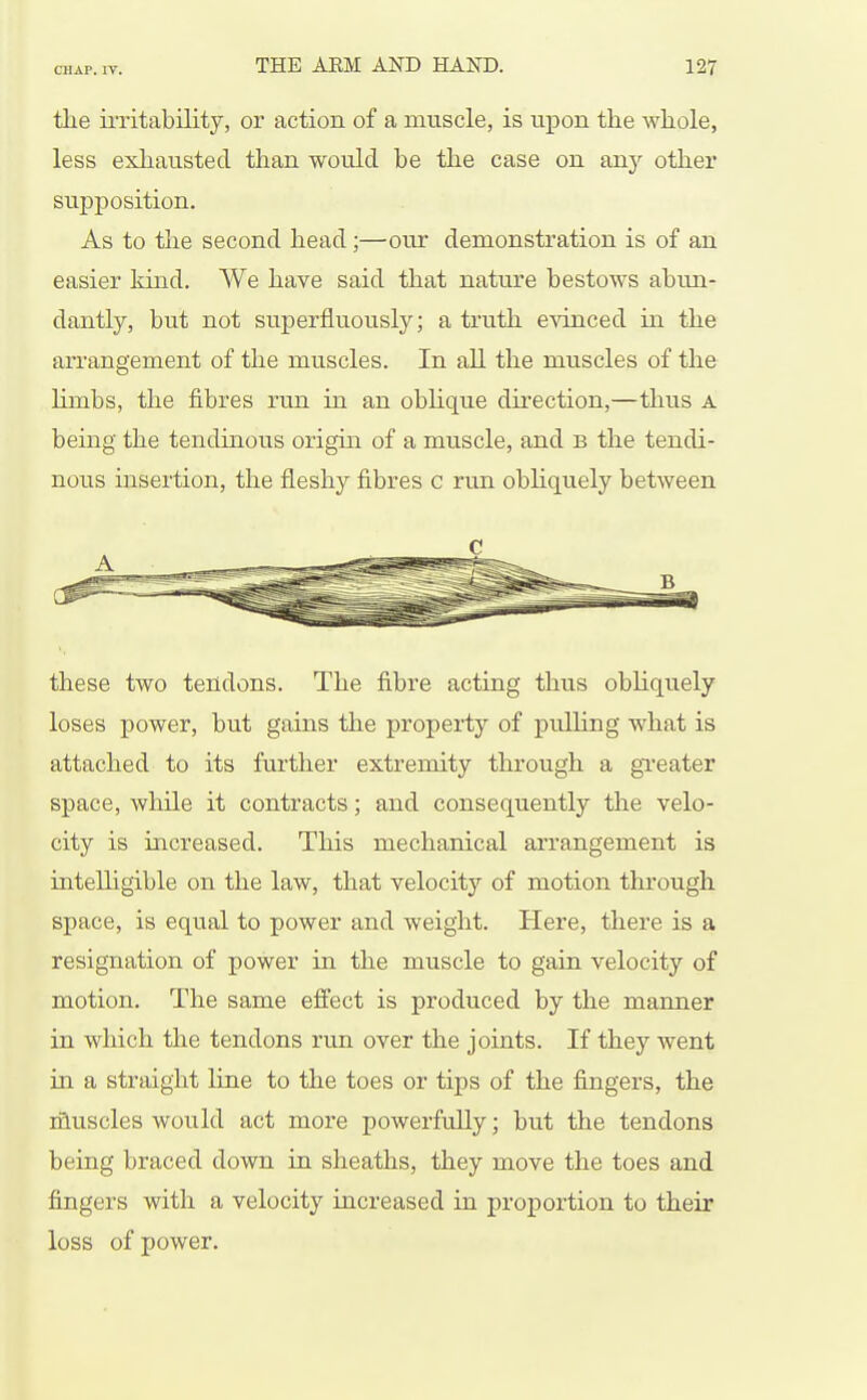 tlie iiTitability, or action of a muscle, is upon the whole, less exhausted than would be the case on any other supposition. As to the second head;—our demonstration is of an easier kind. We have said that nature bestows abun- dantly, but not superfluously; a truth evinced iia the arrangement of the muscles. In all the muscles of the limbs, the fibres rtm. in an oblique direction,—thus a being the tendinous origin of a muscle, and b the tendi- nous insertion, the fleshy fibres c run obhquely between these two tendons. The fibre acting thus obhquely loses power, but gains the property of pulHng what is attached to its fui'ther extremity through a greater space, while it contracts; and consequently the velo- city is increased. This mechanical arrangement is intelligible on the law, that velocity of motion through space, is equal to power and weight. Here, there is a resignation of power in the muscle to gain velocity of motion. The same effect is produced by the manner in which the tendons rvm over the joints. If they went in a straight line to the toes or tips of the fingers, the ifluscles would act more powerfully; but the tendons being braced down in sheaths, they move the toes and fingers with a velocity increased in proportion to their loss of power.