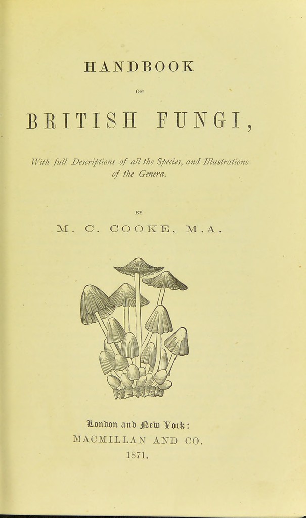 洋書 British Fungi by M. C. Cooke Handbook of British fungi : with full descriptions of all the