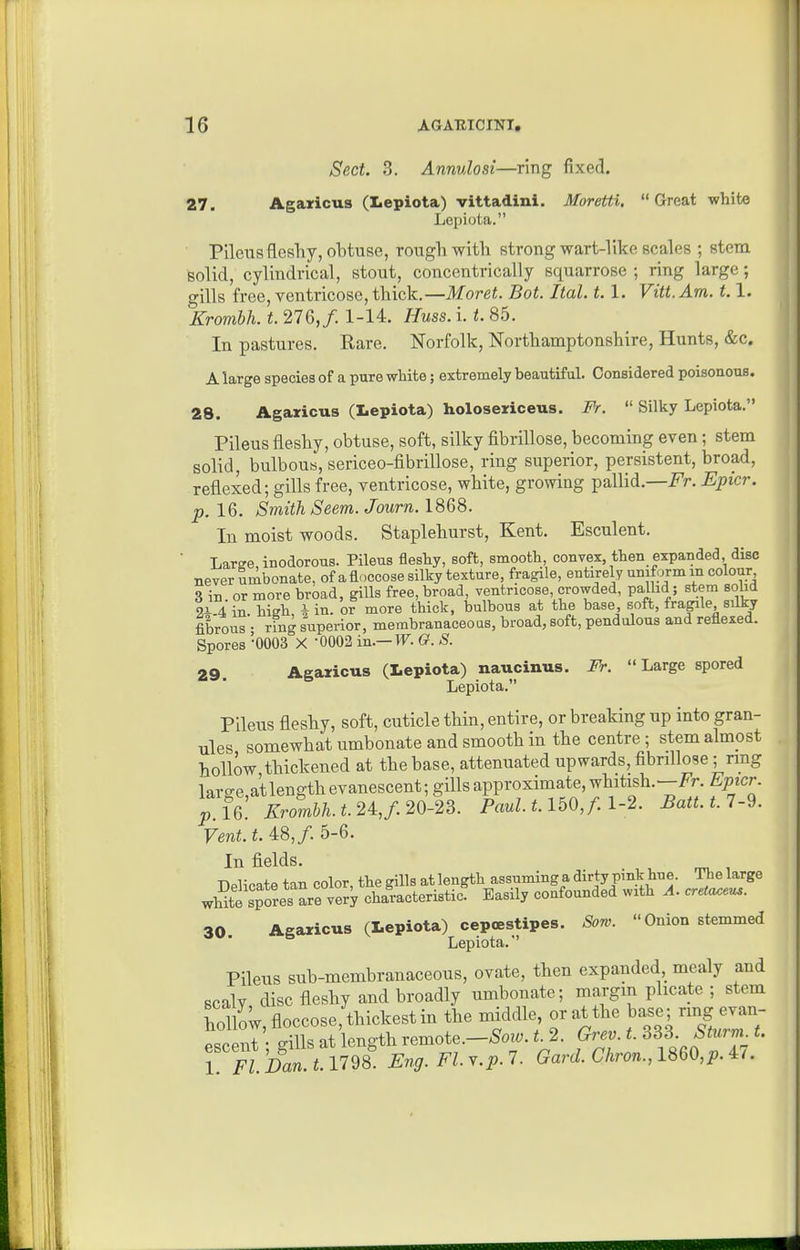 Sect. 3. Annulosi—ring fixed. 27. Agaricus (Lepiota) vittadinl. Moretti. Great white Lopiota. Pilciis fleshy, obtuse, rough with strong wart-like scales ; stem solid, cylindrical, stout, concentrically squarrose ; ring large; gills free, ventricose, thick.—Moret. Bot. Ital. 1.1. Vitt.Am. 1.1. Krombh. t. 27Q,f. 1-14. Huss. i. /. 85. In pastures. Rare. Norfolk, Northamptonshire, Hunts, &c. A large species of a pure wMte; extremely beautiful. Considered poisonous. 28. Agaricus (Lepiota) holosericeus. Fr.  Silky Lepiota. Pilaus fleshy, obtuse, soft, silky fibrillose, becoming even; stem solid, bulbous, sericeo-fibrillose, ring superior, persistent, broad, reflexed; gills free, ventricose, white, growing pallid.—Fr. Epicr. p. 16. Smith Seem. Journ. 1868. In moist woods. Staplehurst, Kent, Esculent. ■ Large, inodorous. Pileus fleshy, soft, smooth, convex, then expanded disc never umbonate, of a floccose silky texture, fragile, entirely uniform in colour 3 in. or more broad, gills free, broad ventricose, crowded, palhd ; stem soM 91- 4 in hish ^ in. or more thick, bulbous at the base, soft, fragile silky fibrous'- ring superior, membranaceoas, broad, soft, pendulous and reflexed. Spores -0003 X 0002 in.—IT. G. S. 29 Agaricus (Lepiota) naucinus. Fr. Large spored Lepiota. Pileus fleshy, soft, cuticle thin, entire, or breaking up into gran- ules somewhat umbonate and smooth in the centre ; stem almost hollow thickened at the base, attenuated upwards, fibrillose; ring large at length evanescent; gills approximate, whitish.—Fr. Epicr. pTg Krombh. t. 24,/. 20-23. Paul. 1.160, f. 1-2. Batt. t. 7-9. Vent. t. 48,/. 5-6. In fields. Delicate tan color, the gills at length assuming a dirty pmk hue. The large white spores are very characteristic. Easily confounded with A. creta^eu,. 30 Agaricus (Lepiota) cepoestipes. Sow. Onion stemmed Lepiota. Pileus sub-membranaceous, ovate, then expanded, mealy and scalv disc fleshy and broadly umbonate; margin plicate ; stem hoi ow floccose, thickest in the middle, or at the base; ring evan- esc nl gUls at length remote.-^o... t. 2. Grev. t. S^^^- Sturm t. I FI Dan. 1.1798 Eng. Fl. ..p. 7. Gard. Chron., I860,;,. 4/.