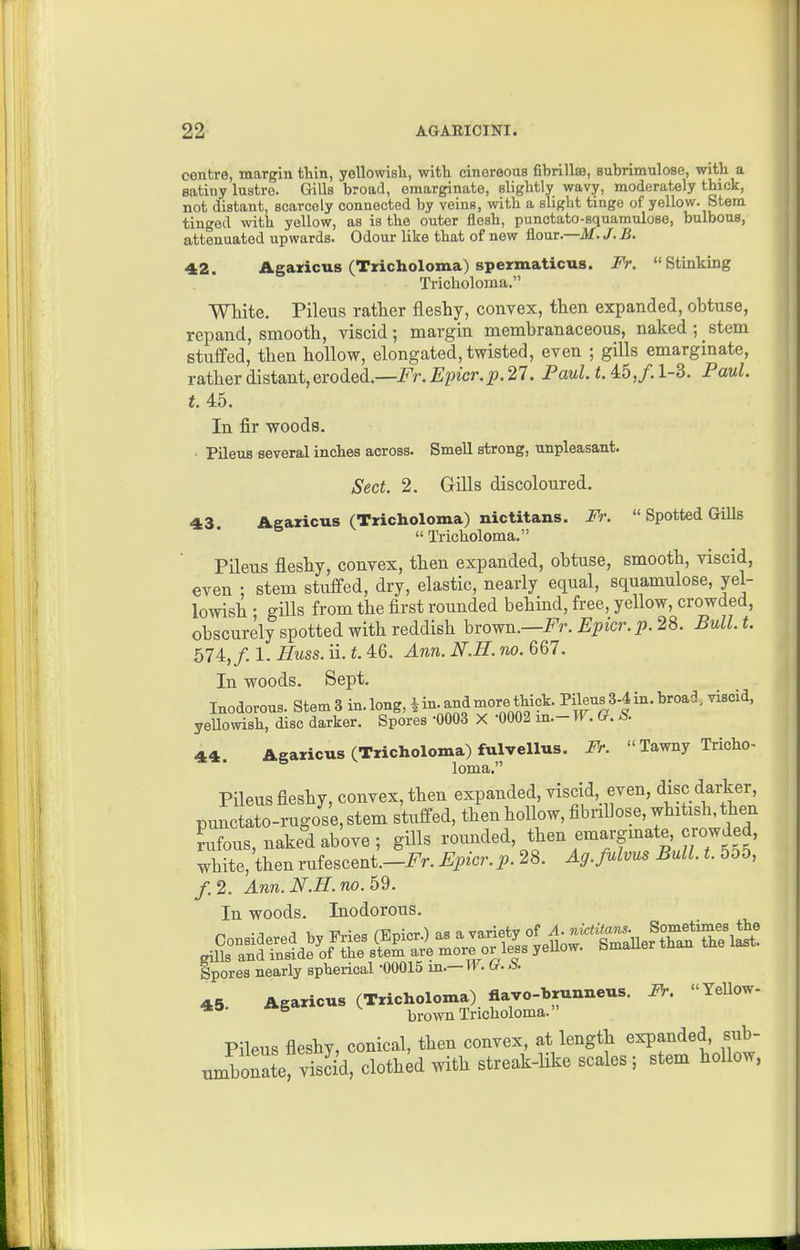 centre, margin thin, yellowisli, with cinoreouB fibrillse, subrimulose, with a satiny lustre. Gills broad, emarginate, slightly wavy, moderately thick, not distant, scarcely connected by veins, with a slight tinge of yellow. Stem tinged with yellow, as is the outer flesh, punctato-squamulose, bulbous, attenuated upwards. Odour like that of new &onr.—M.J. B. 42. Agaiicus (Tricholoma) spermaticus. Fr. Stinking Tricholoma. White. Pileus rather fleshy, convex, then expanded, obtuse, repand, smooth, viscid; margin membranaceous, naked; stem stuffed, then hollow, elongated, twisted, even ; gills emarginate, rather distant,eroded.—i^r. Epicr.p. 27. Paul. t. 4:6, f. 1-3. Paul, t. 45. In fir woods. Pileus several inches across. Smell strong, unpleasant. Sect. 2. Gills discoloured. 43 Agaricus (Tricholoma) nictitans. Fr.  Spotted GiUs  Tricholoma. Pileus fleshy, convex, then expanded, obtuse, smooth, viscid, even ; stem stuffed, dry, elastic, nearly equal, squamulose, yel- lowish • gills from the first rounded behind, free, yellow, crowded, obscurely spotted with reddish brown.—i^?-. Epicr. p. 28. Bull. t. 574,/. 1. Huss. ii. t. 46. Ann. N.H. no. 667. In woods. Sept. Inodorous. Stem 3 in. long, i in. and more thick. Pileus 3-4 in. broad, viscid, yellowish, disc darker. Spores -0003 X 0002 m.-TF. G. S. 44. Agaricus (Tricholoma) fulvellus. Fr.  Tawny Tricho^ loma. Pileus fleshy, convex, then expanded, viscid even, disc darker, punctato-rugose, stem stuffed, then hollow, fibnllose, whitish, then nifous, naked above ; gills rounded, then emargmate, crowded, white, then rufescent.-i^r. Epicr. p. 28. Ag.fulvus Bull. t. 5o5, /. 2. Ann. N.H. no. h^. In woods. Inodorous. Spores nearly spherical -00015 va.— W. Gr. 45 Agaricus (Tricholoma) flavo-brunneus. Fr. YeUow- ^ ^ brown Tricholoma. Pileus fleshy, conical, then convex, at length expanded, sub- umbonate viscid, cloth;d with streak-like scales ; stem hollow,